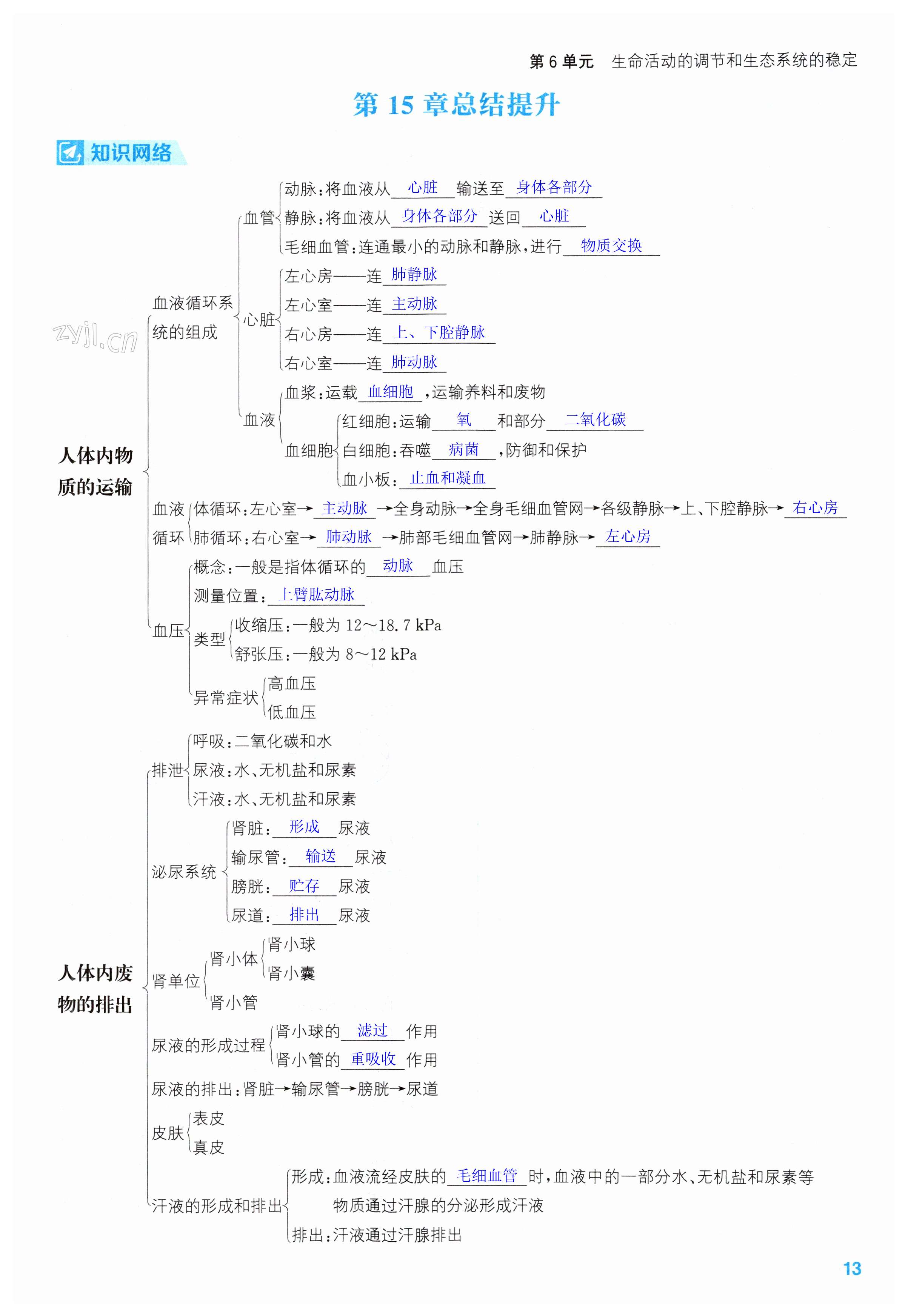 第13頁