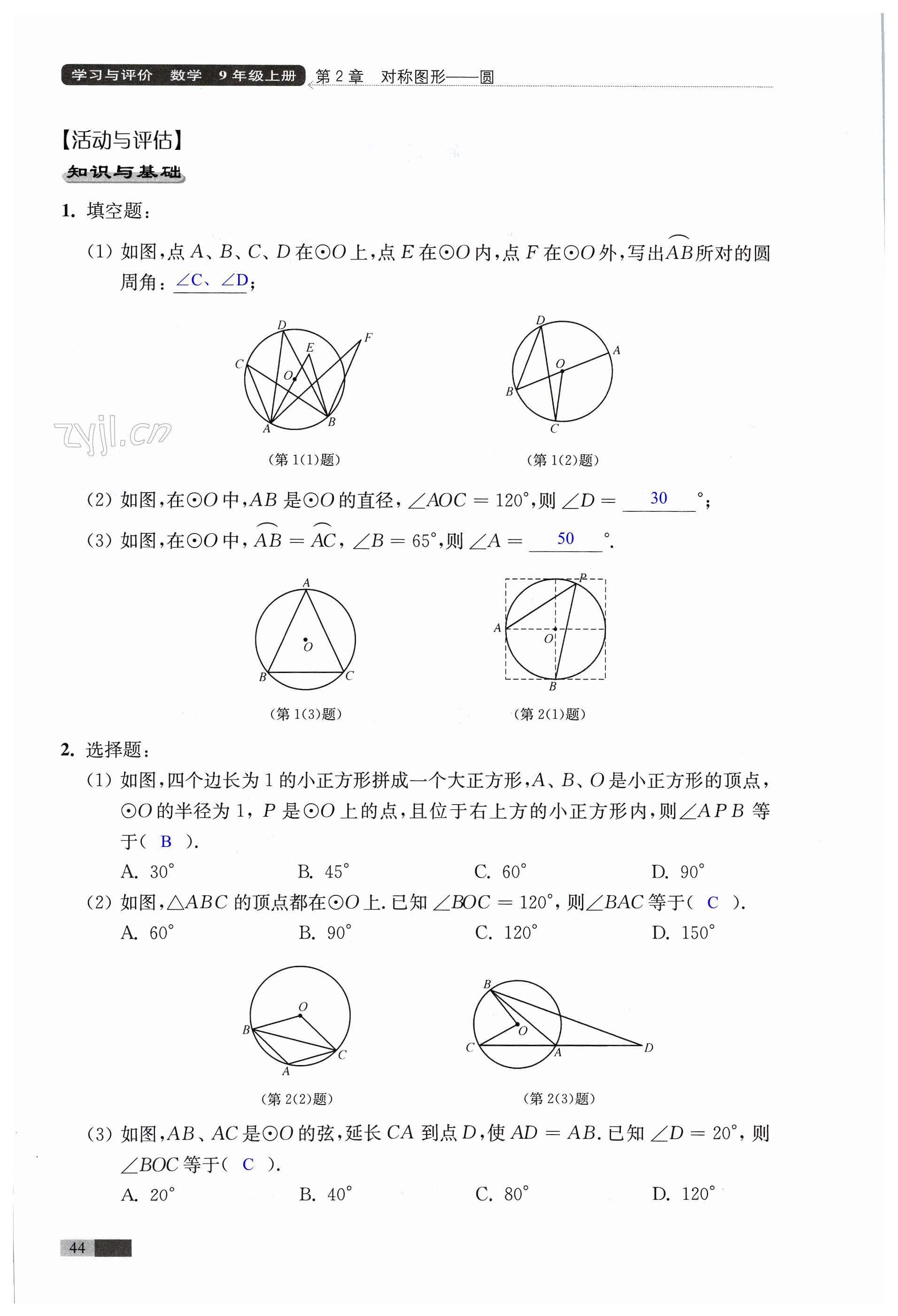 第44頁(yè)