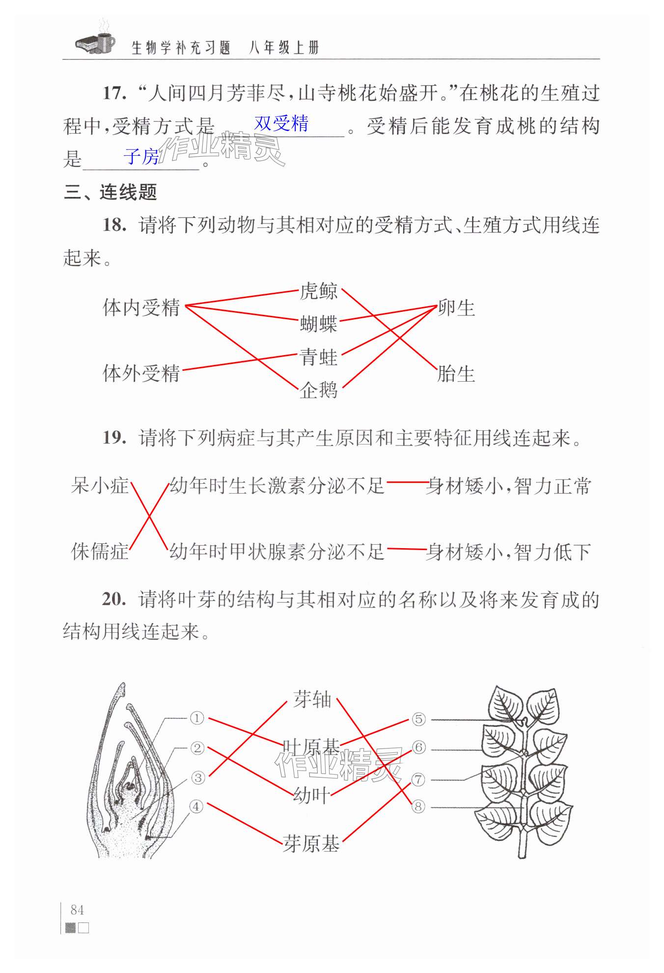 第84頁