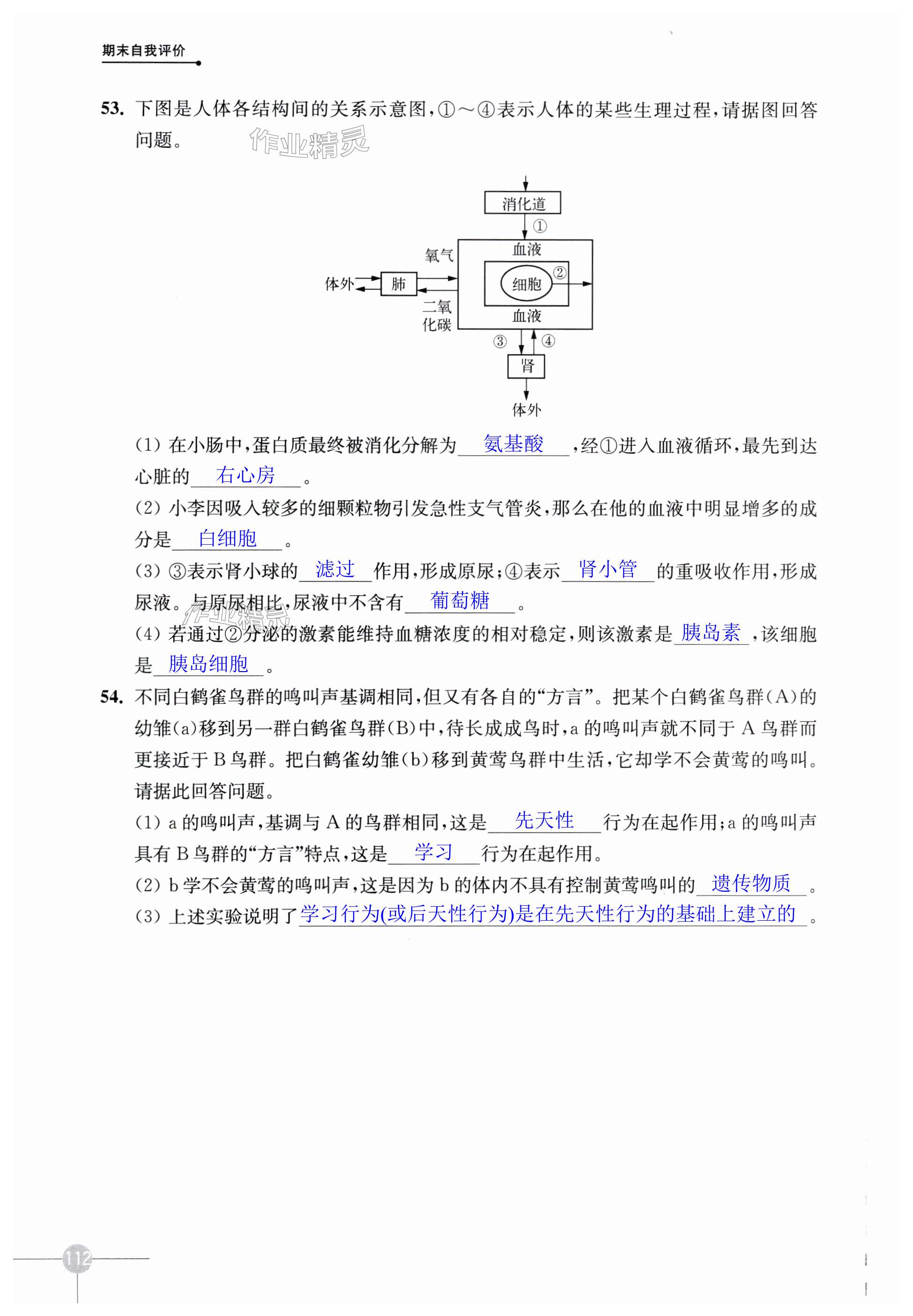 第112页