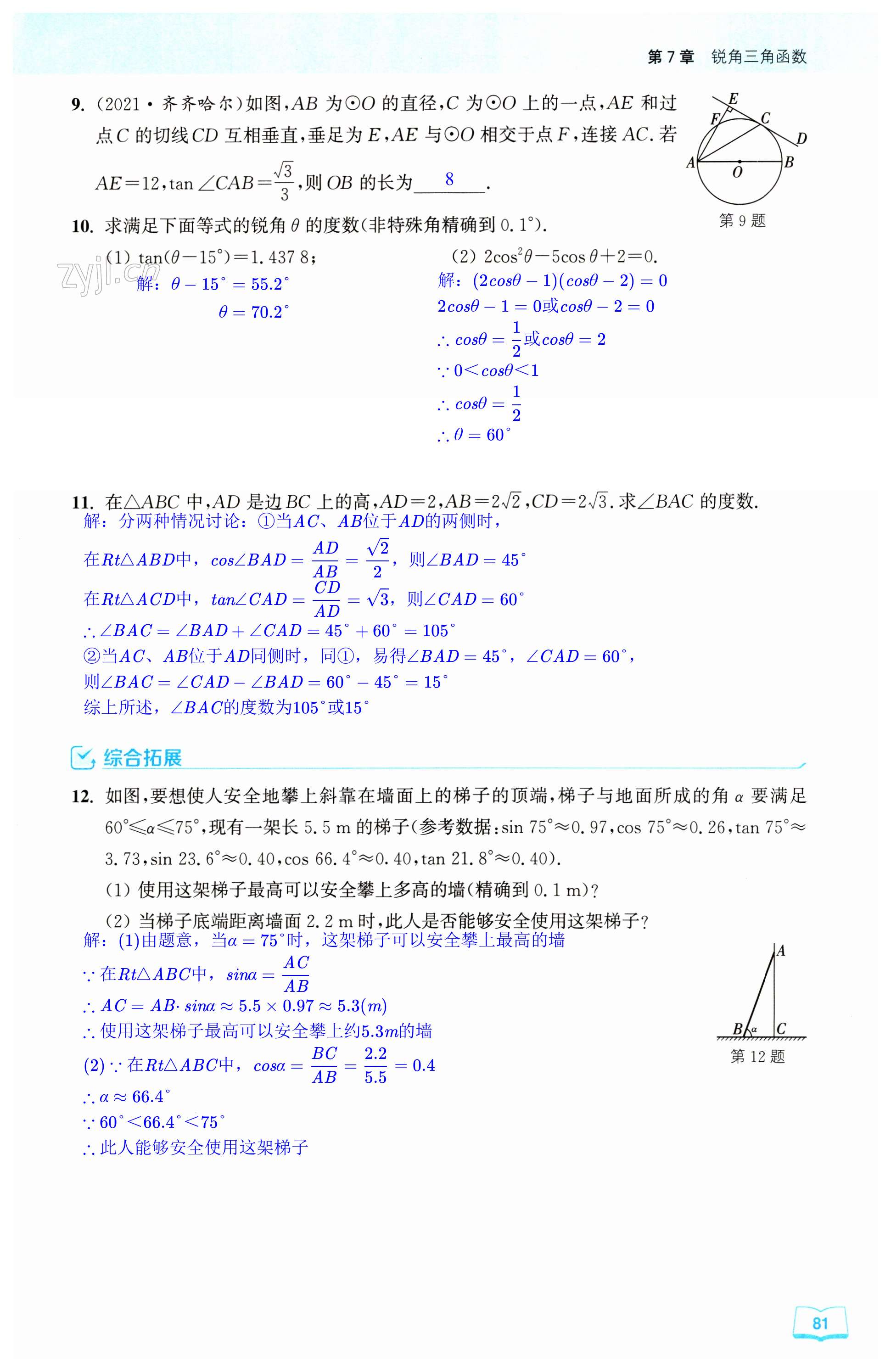 第81页