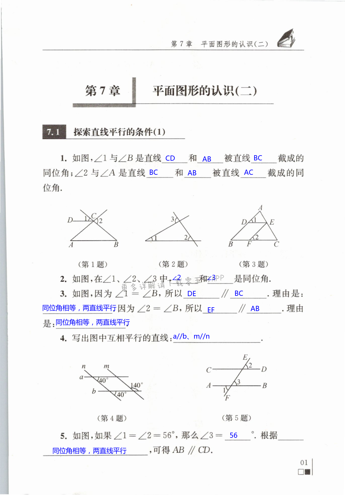 2021年數(shù)學(xué)補充習(xí)題七年級下冊蘇科版 第1頁