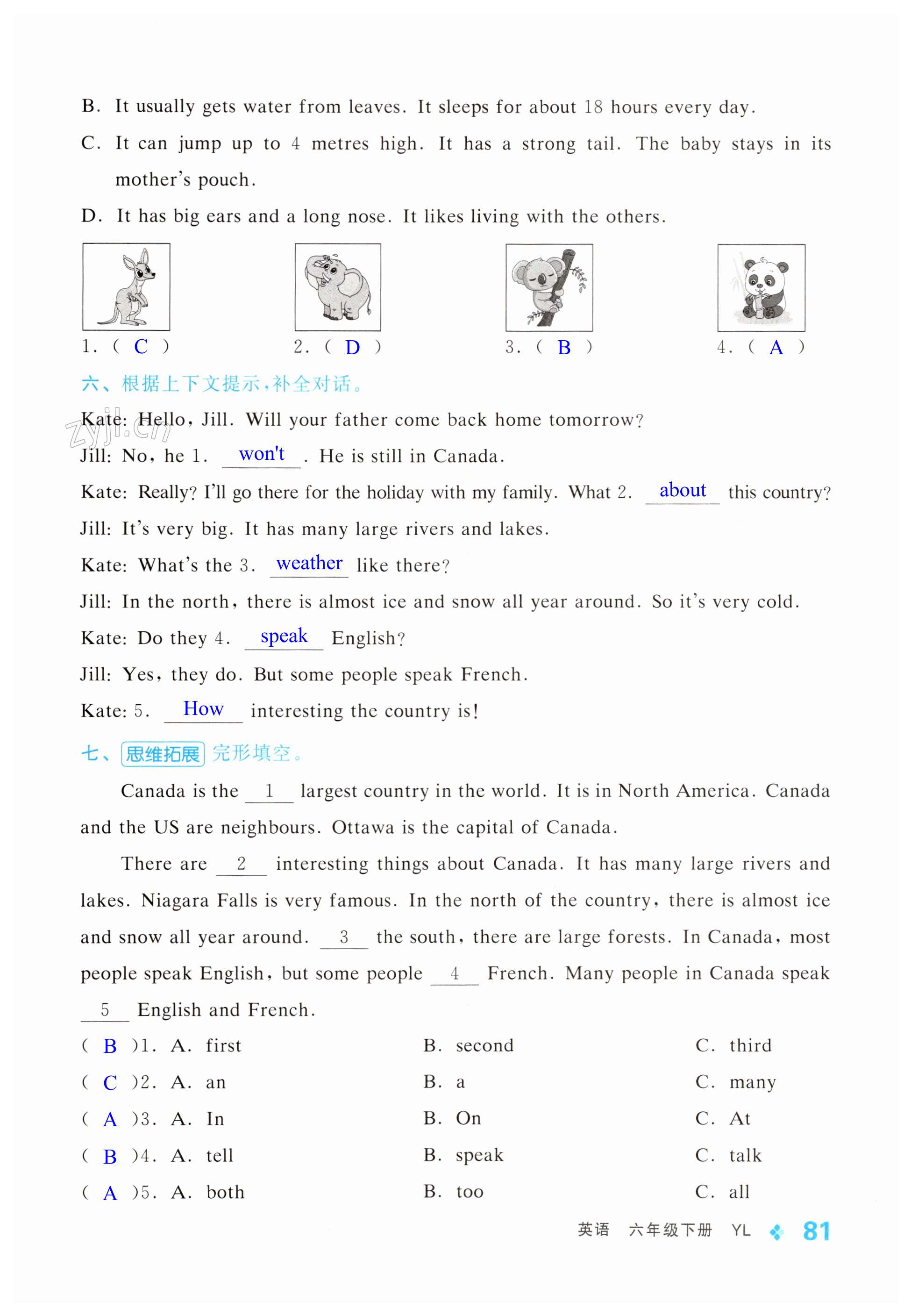 第81頁(yè)