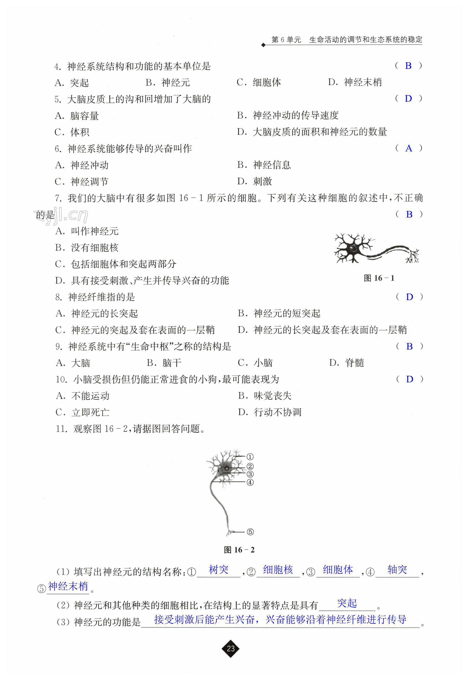 第23頁