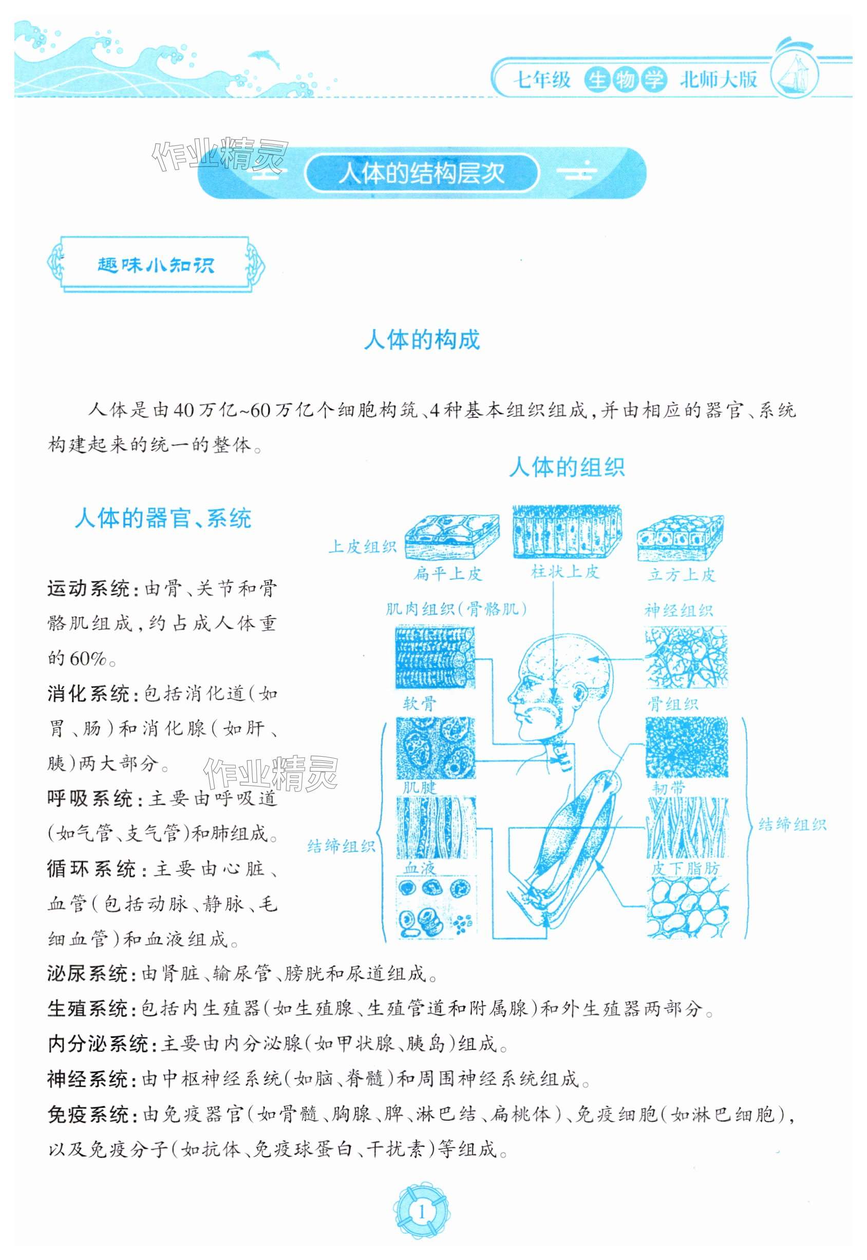 2025年暑假樂園海南出版社七年級生物北師大版 第1頁