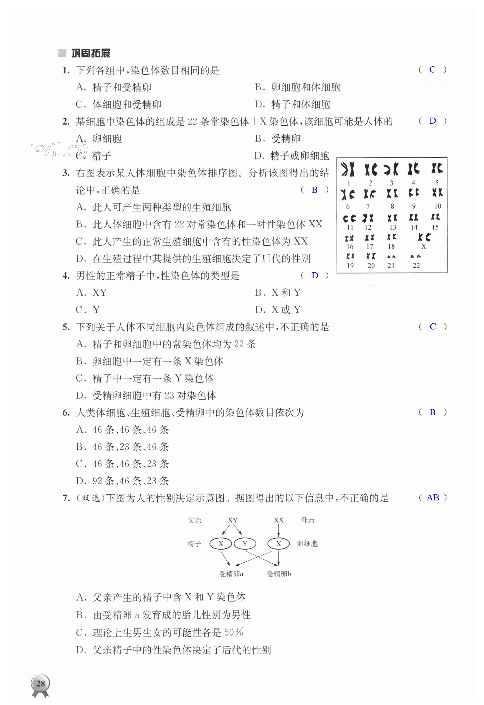 第28頁