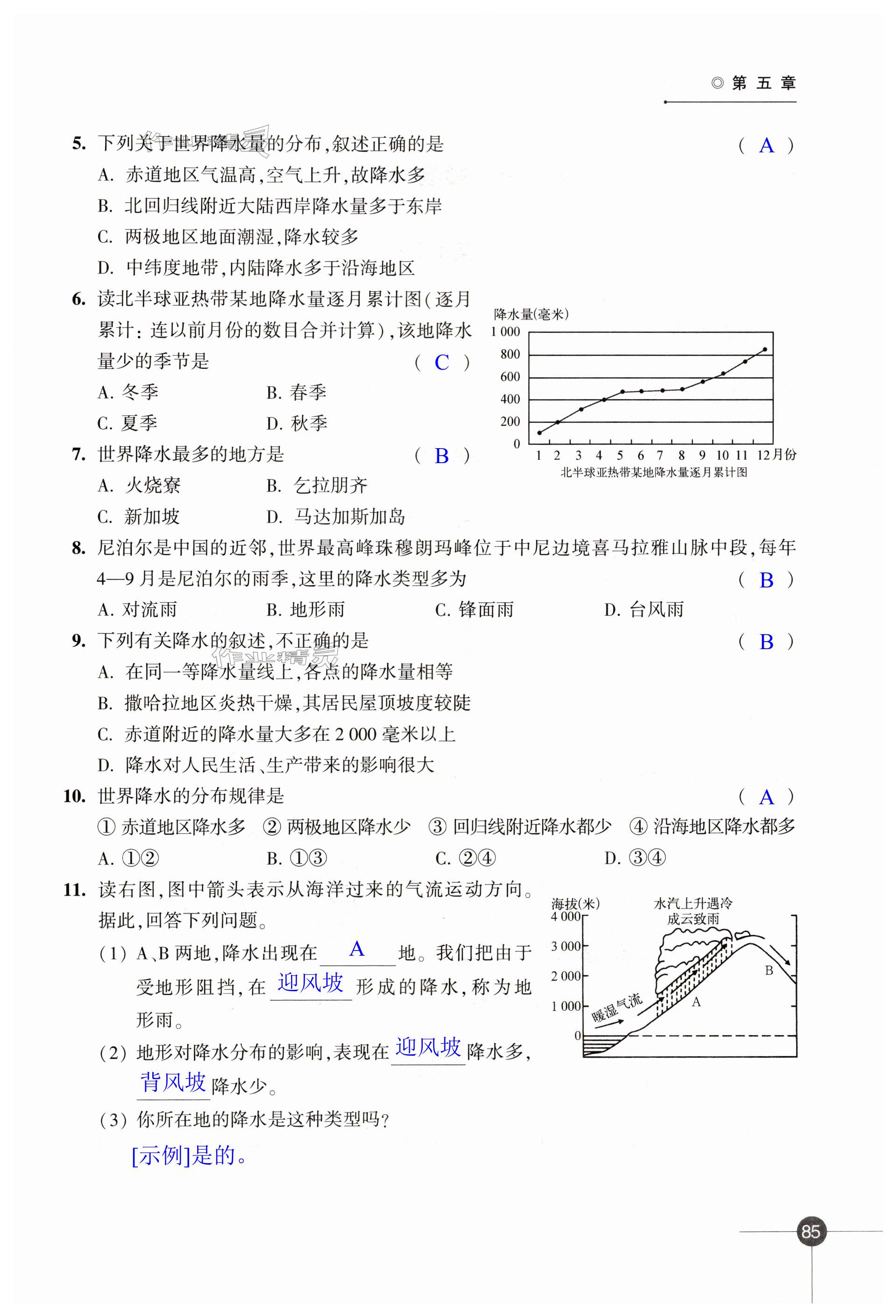 第85頁