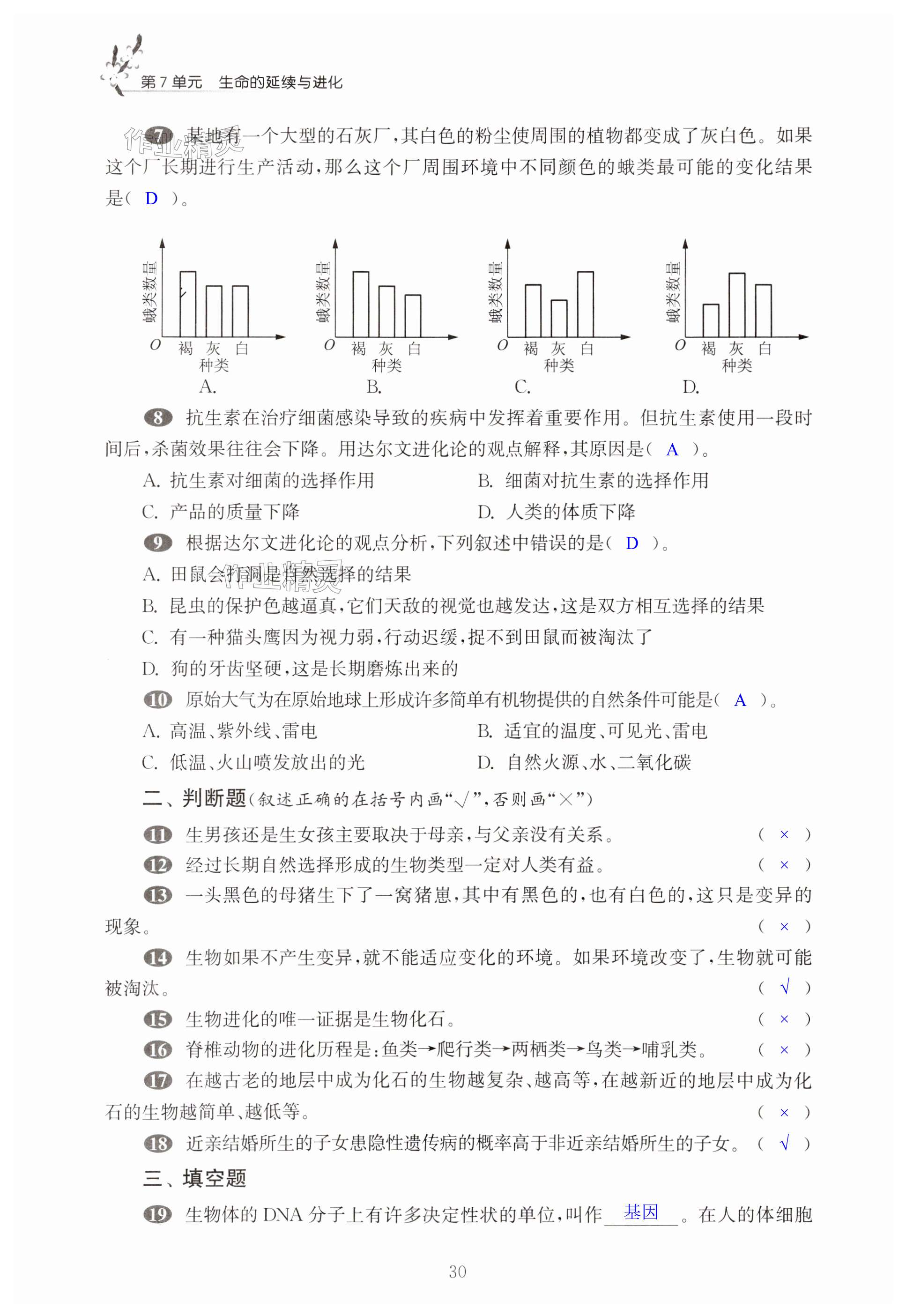 第30頁(yè)