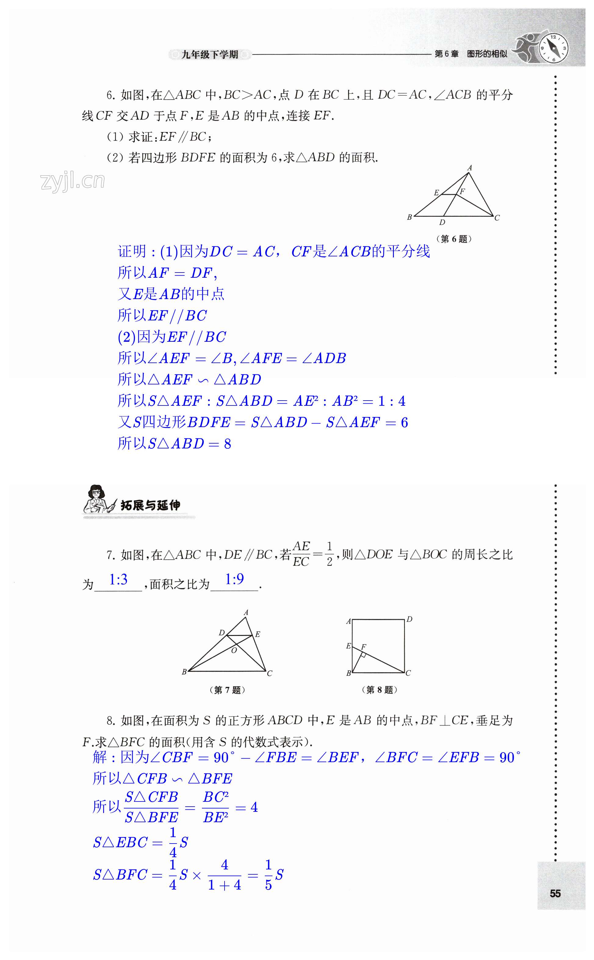 第55頁