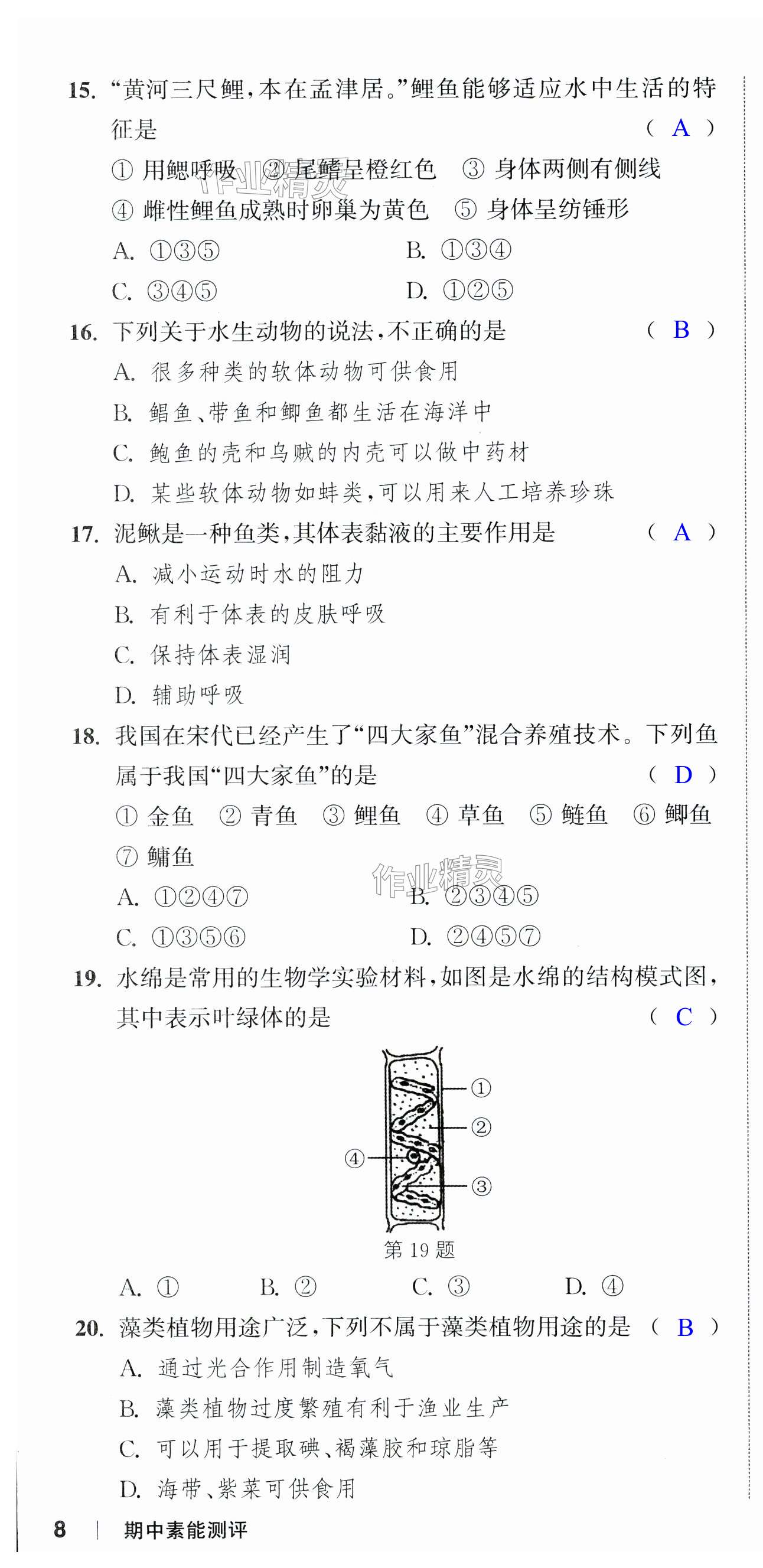 第22頁