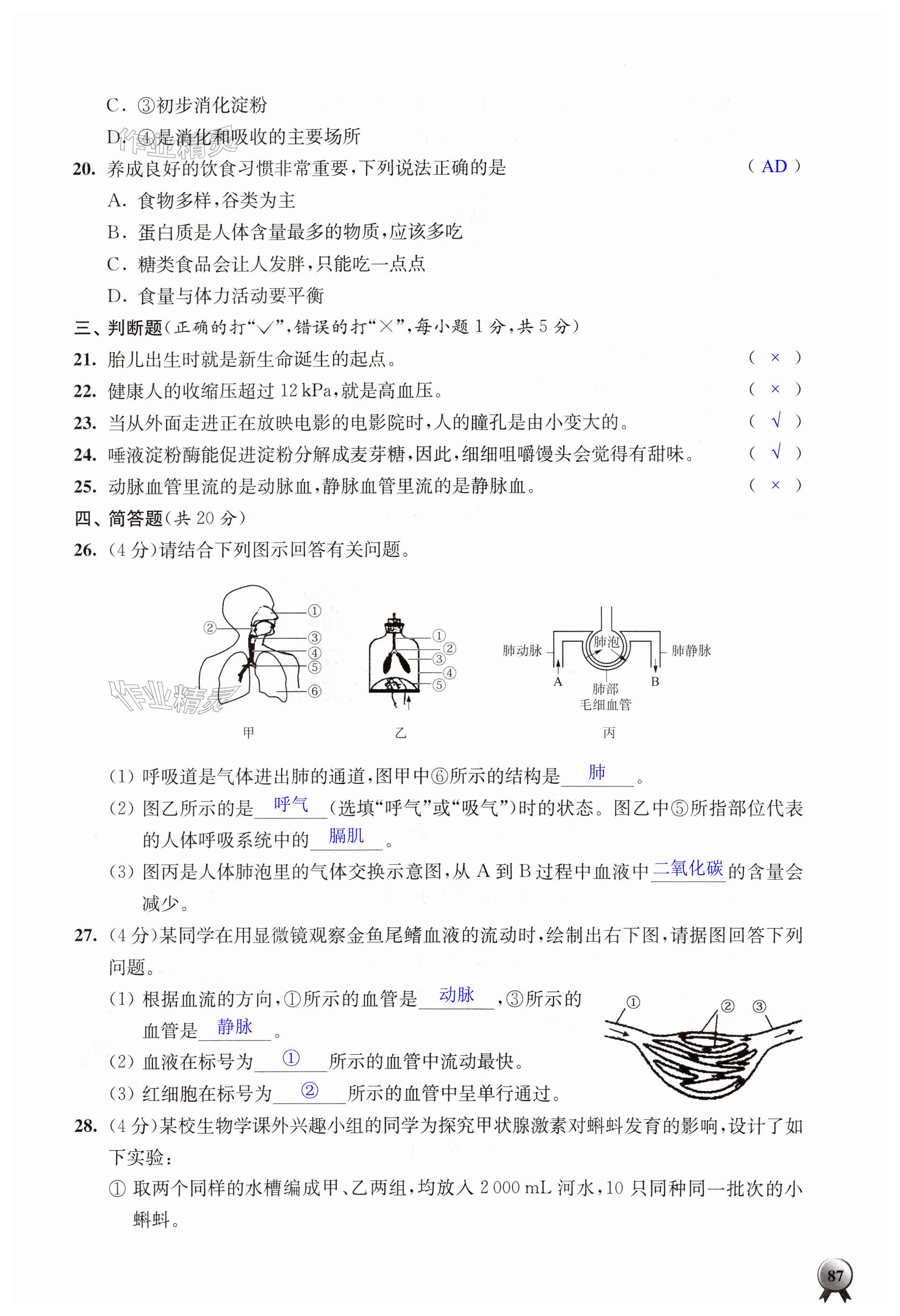 第87頁(yè)