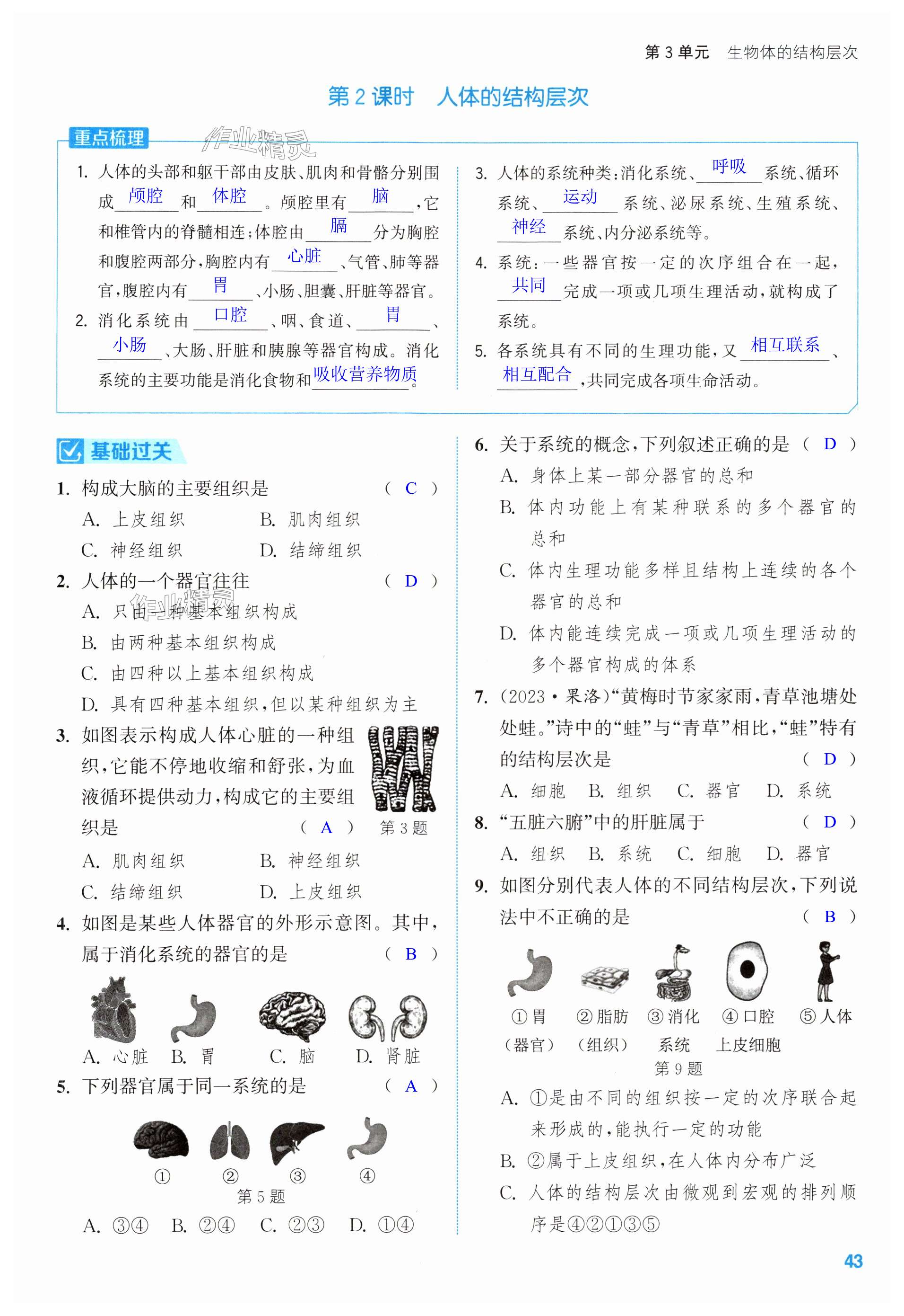 第43頁