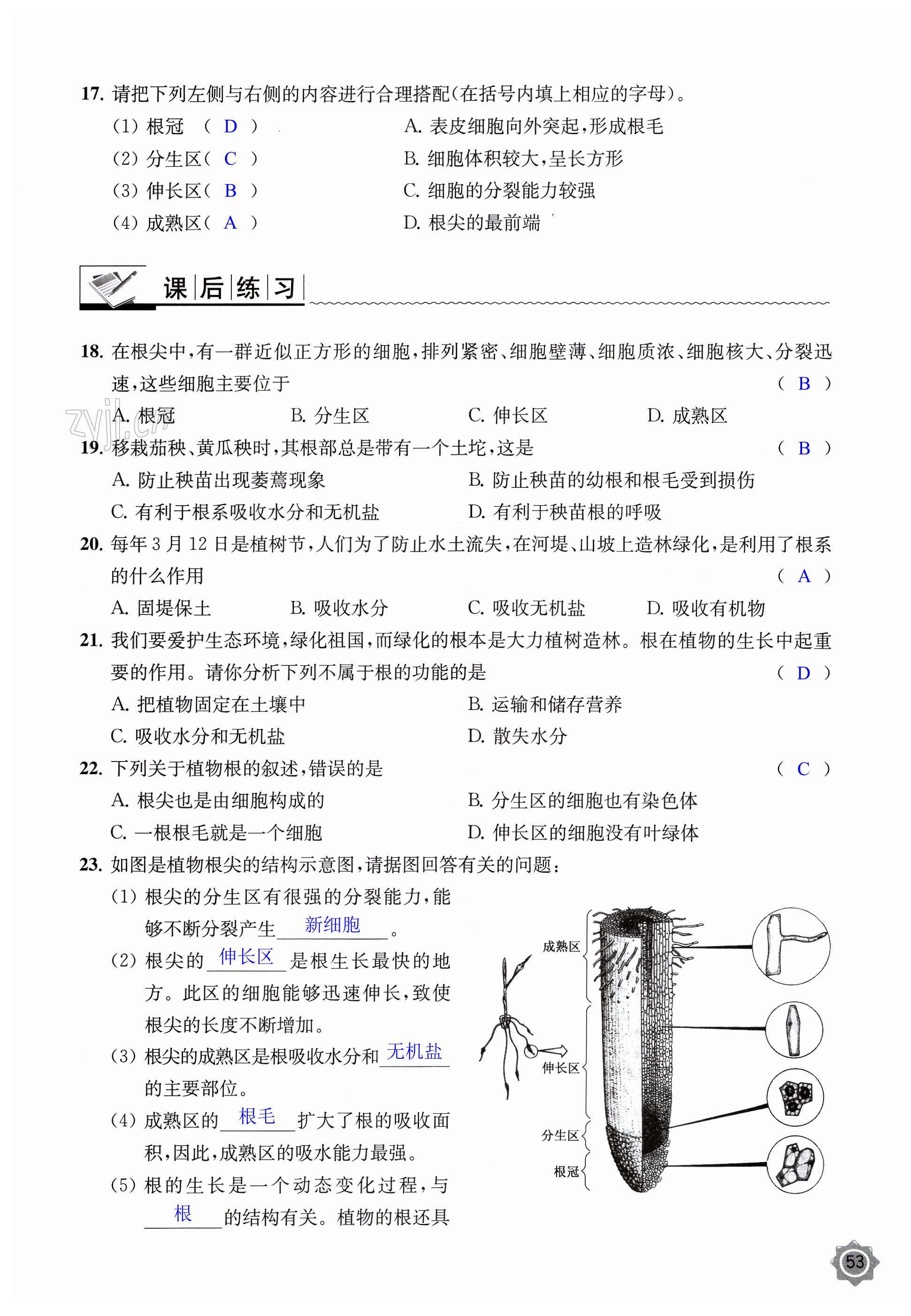 第53页