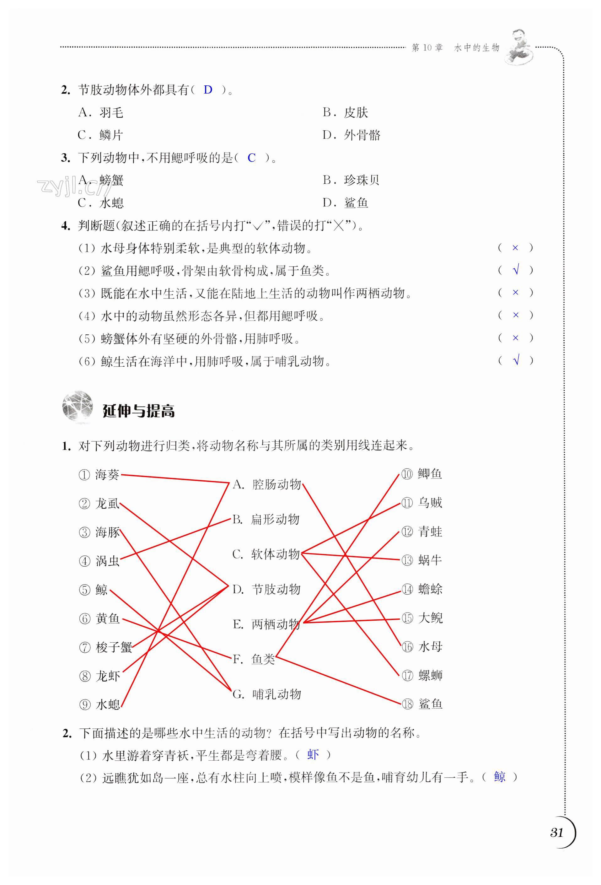 第31頁