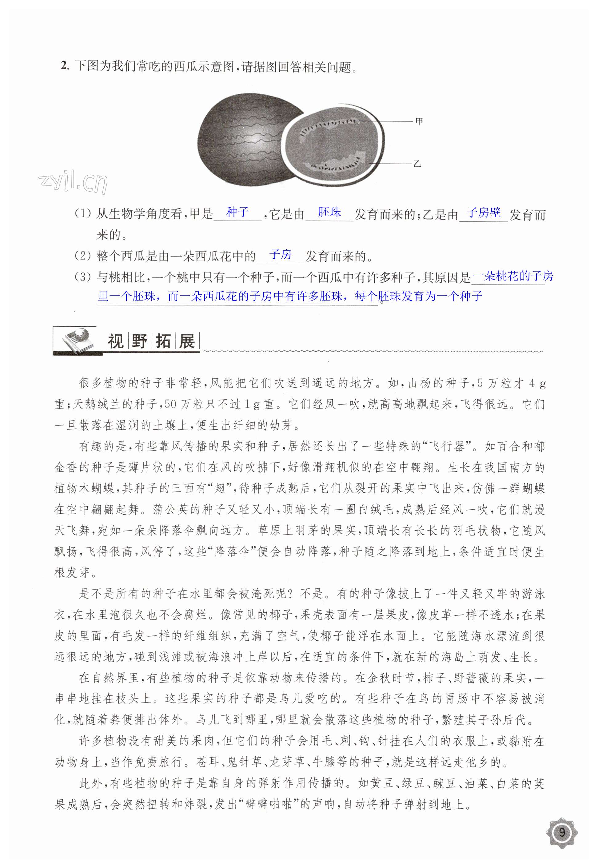 第9页