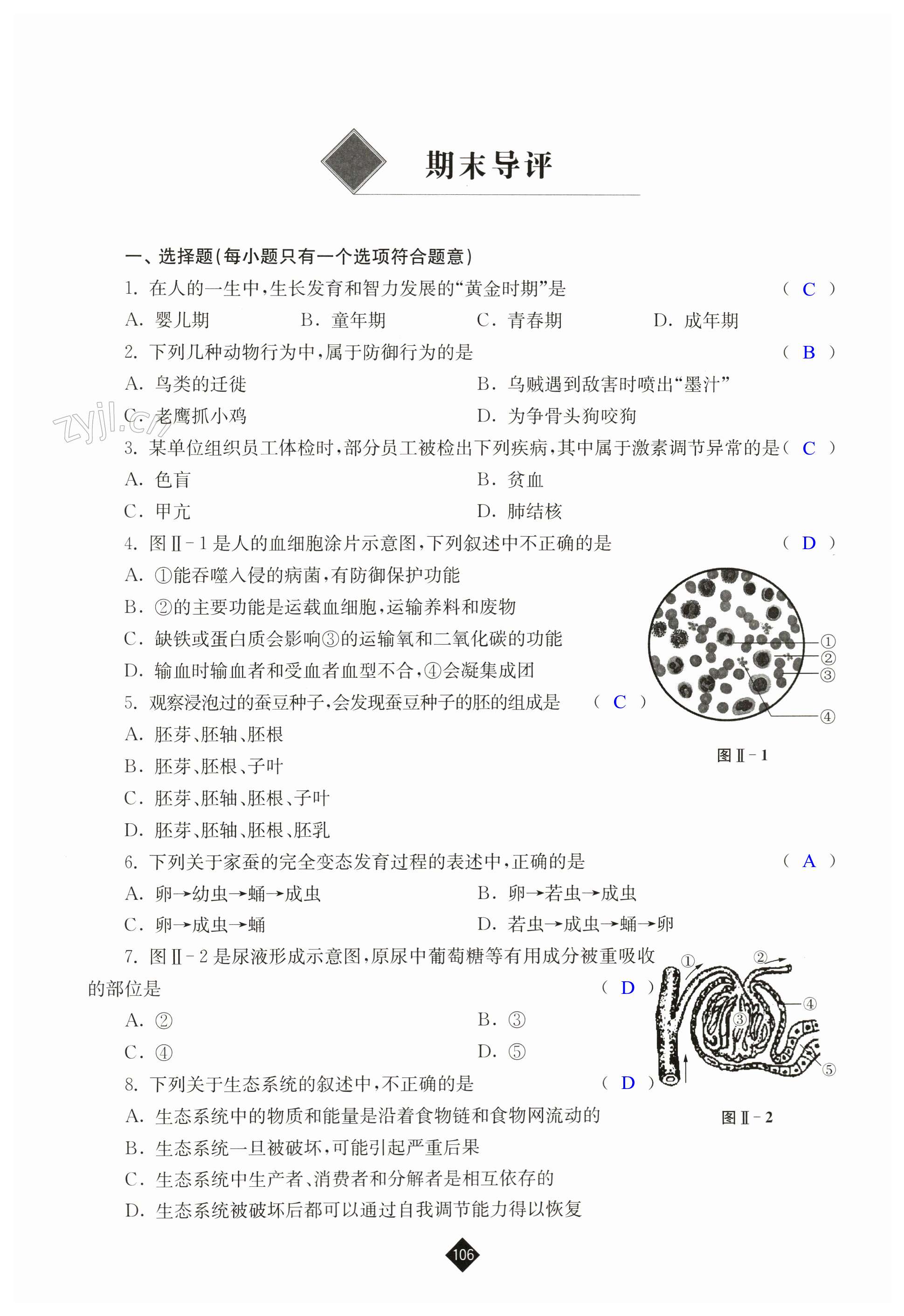 第106页