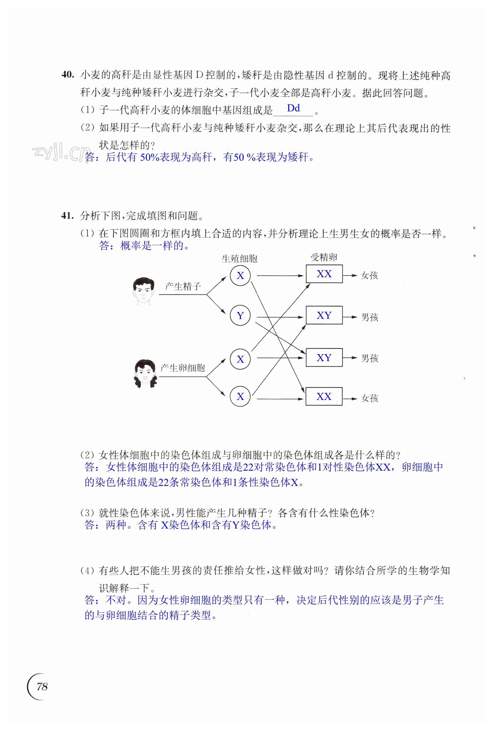 第78頁