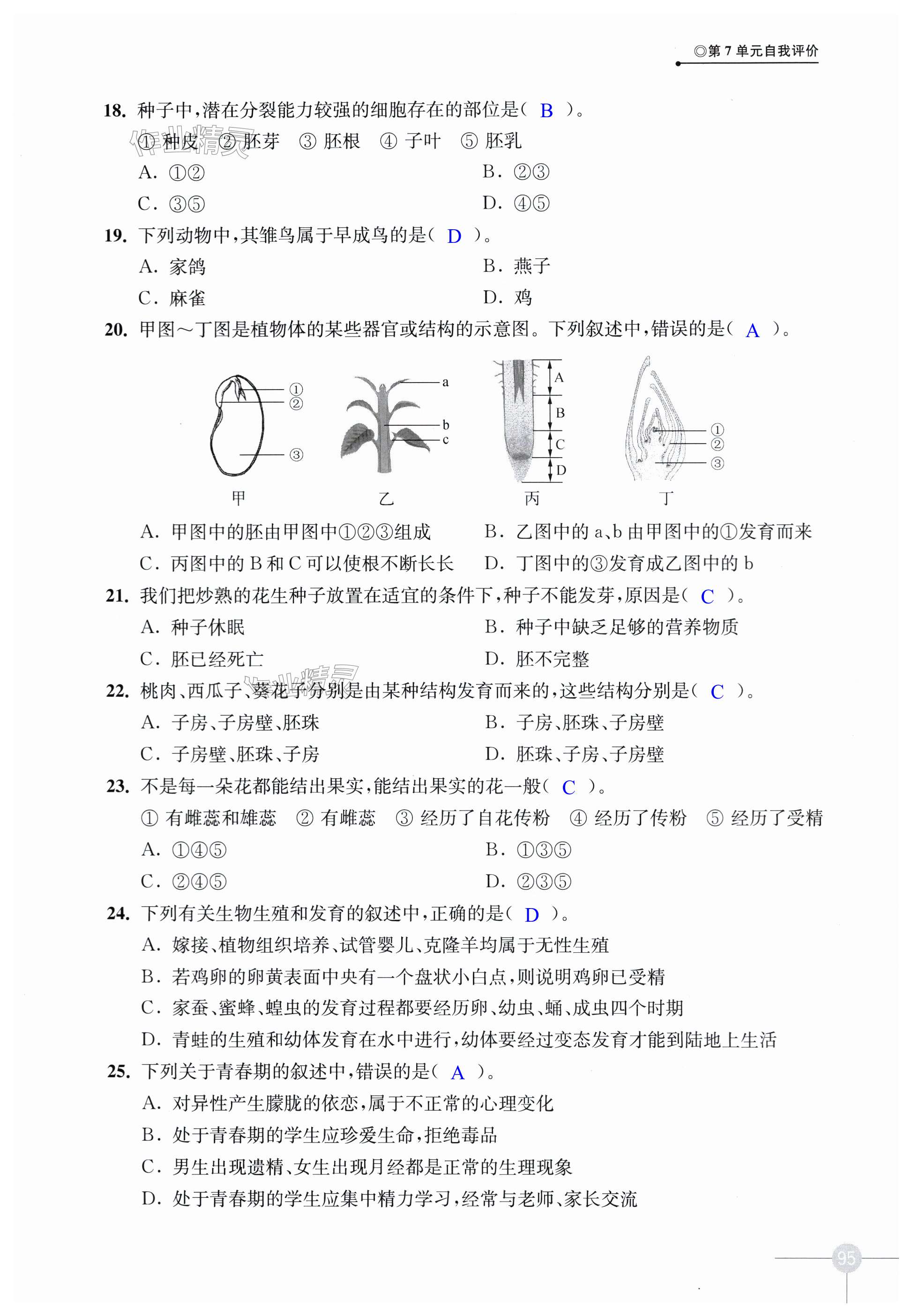 第95页