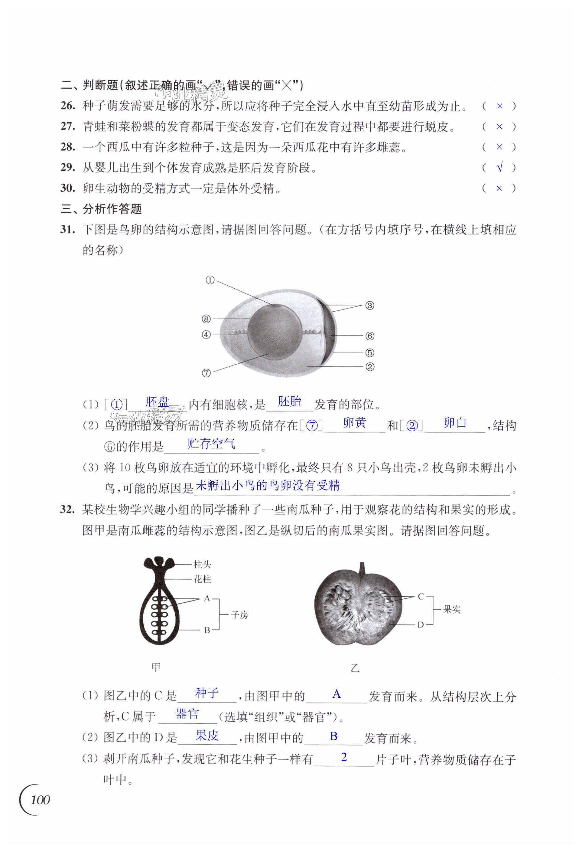 第100頁