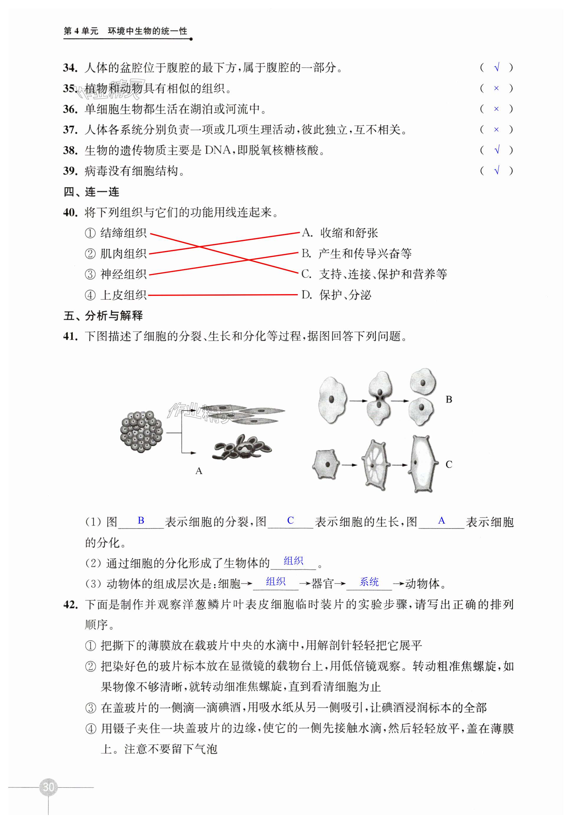 第30頁