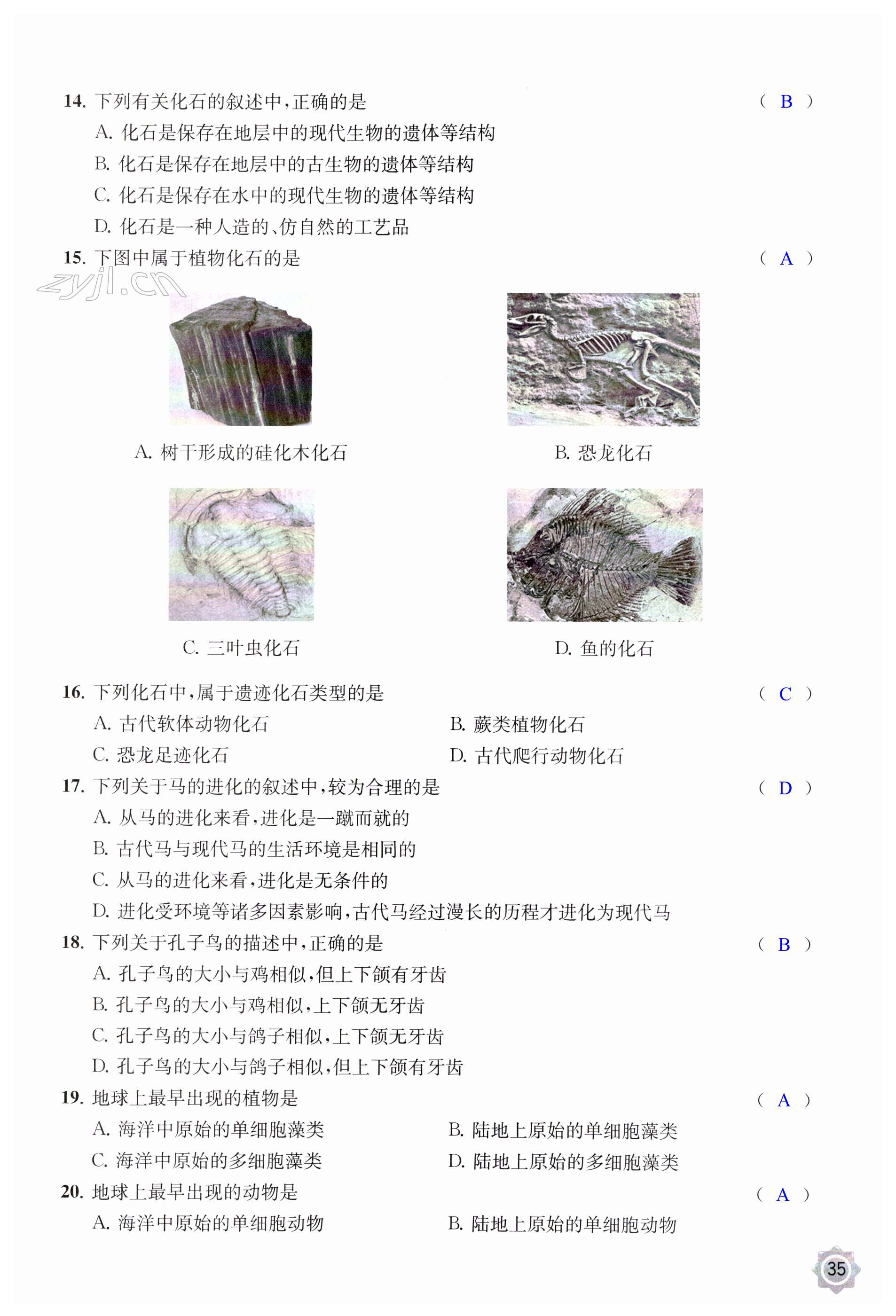 第35頁