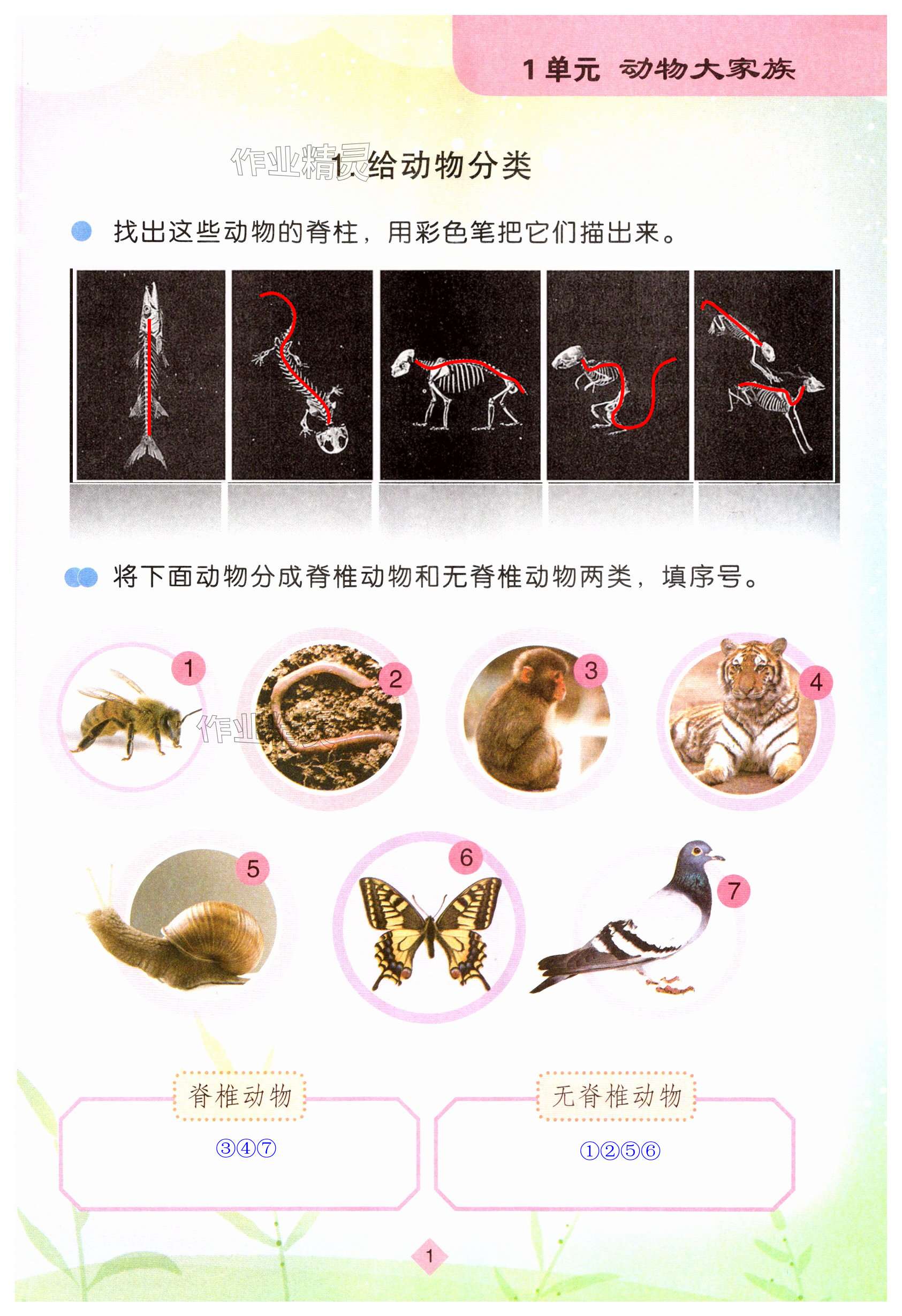 2025年學生活動手冊江蘇鳳凰教育出版社四年級科學上冊蘇教版&nbsp;第1頁