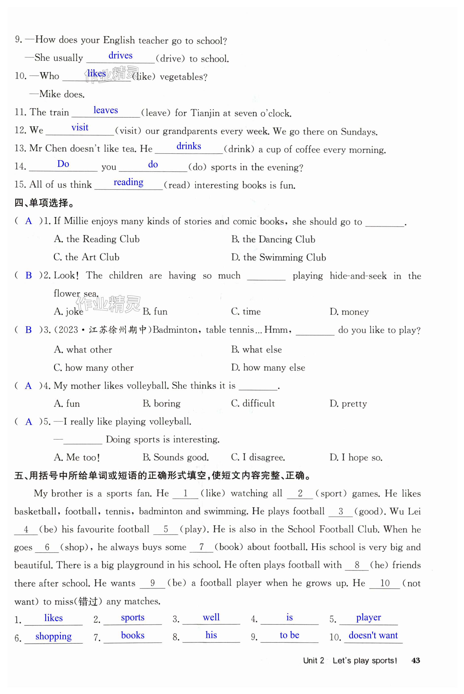 第43页