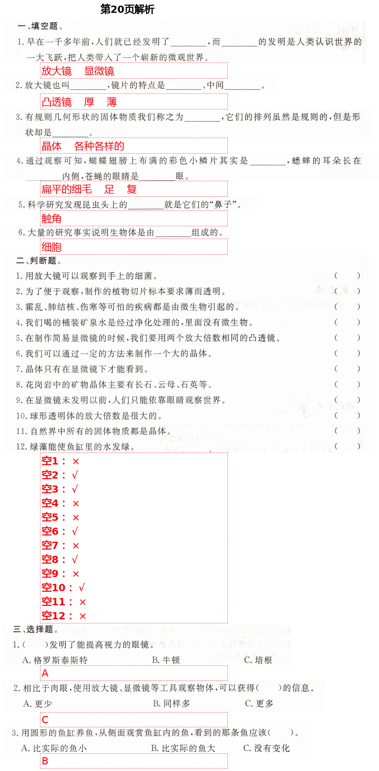 2021年新思維伴你學(xué)六年級(jí)科學(xué)下冊教科版 第20頁