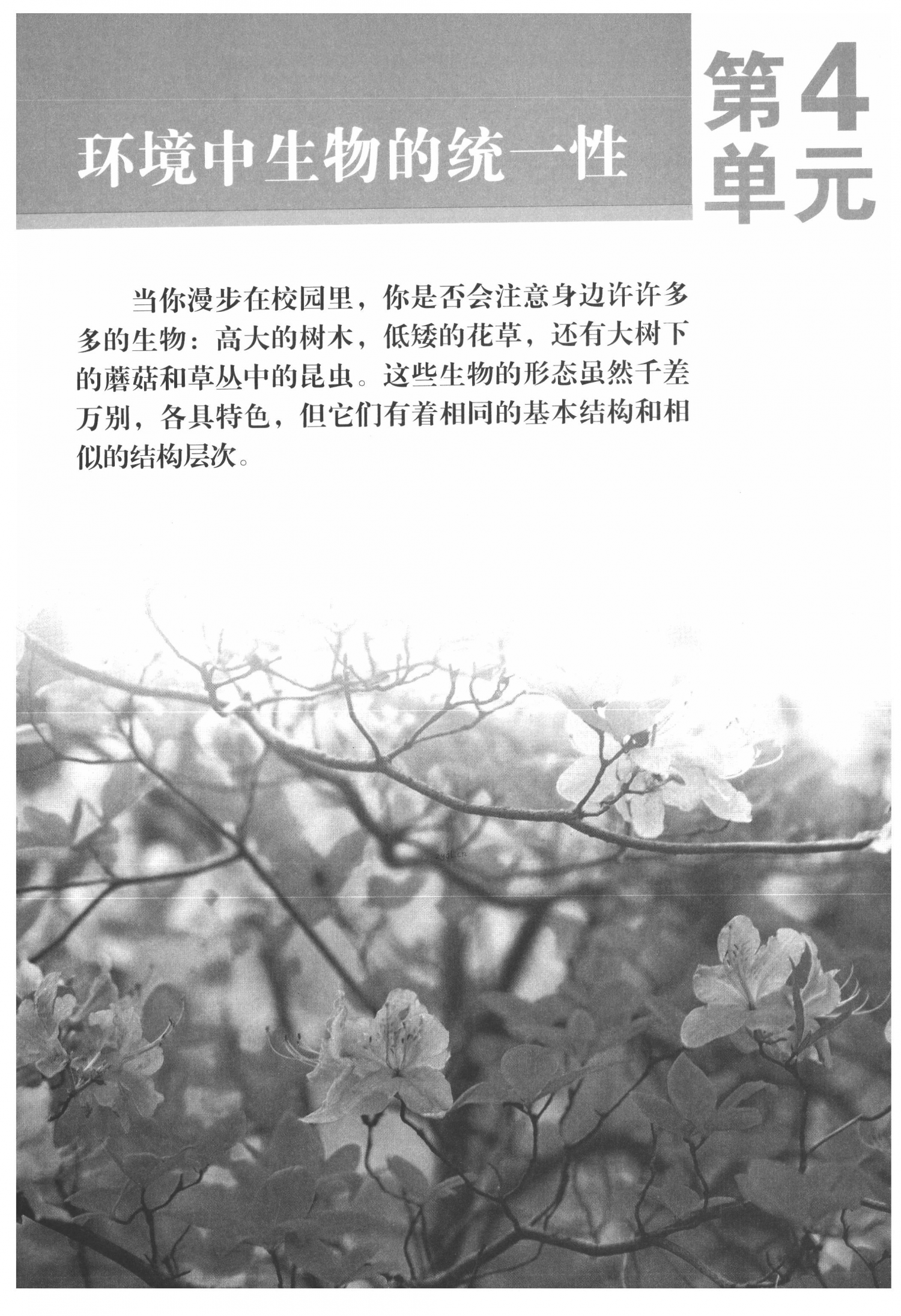 2022年教材課本七年級生物下冊蘇科版 第1頁