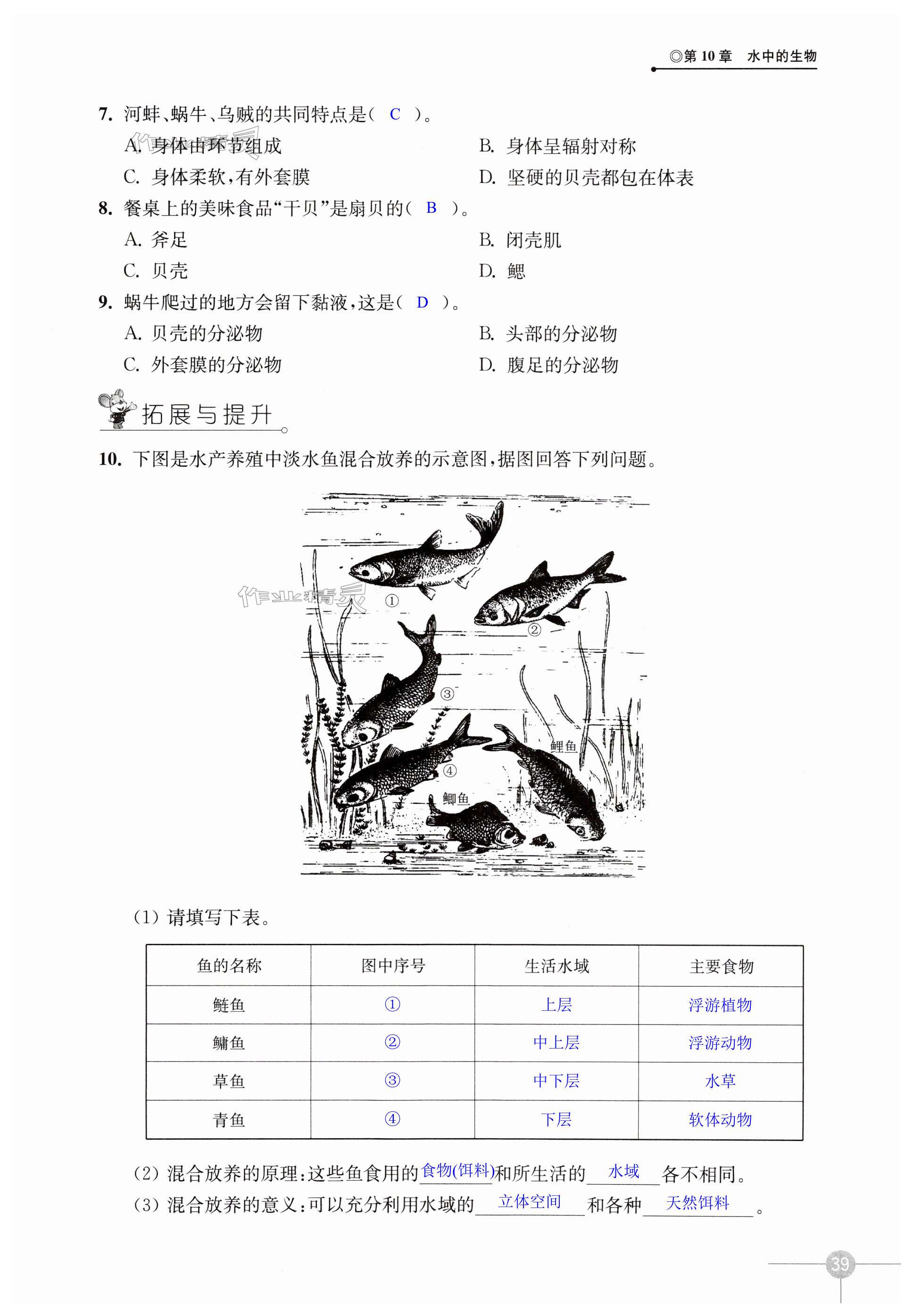 第39页