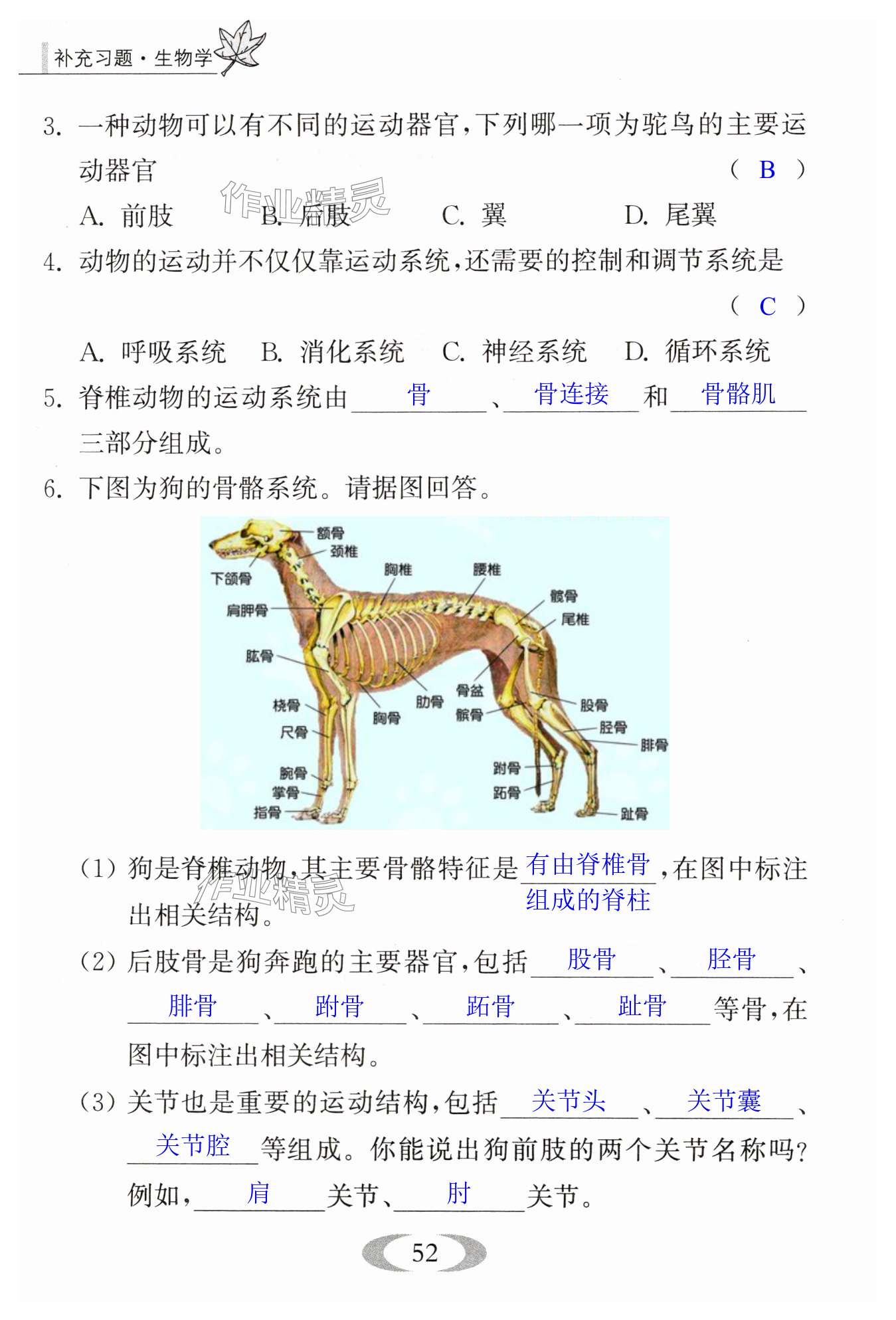 第52頁