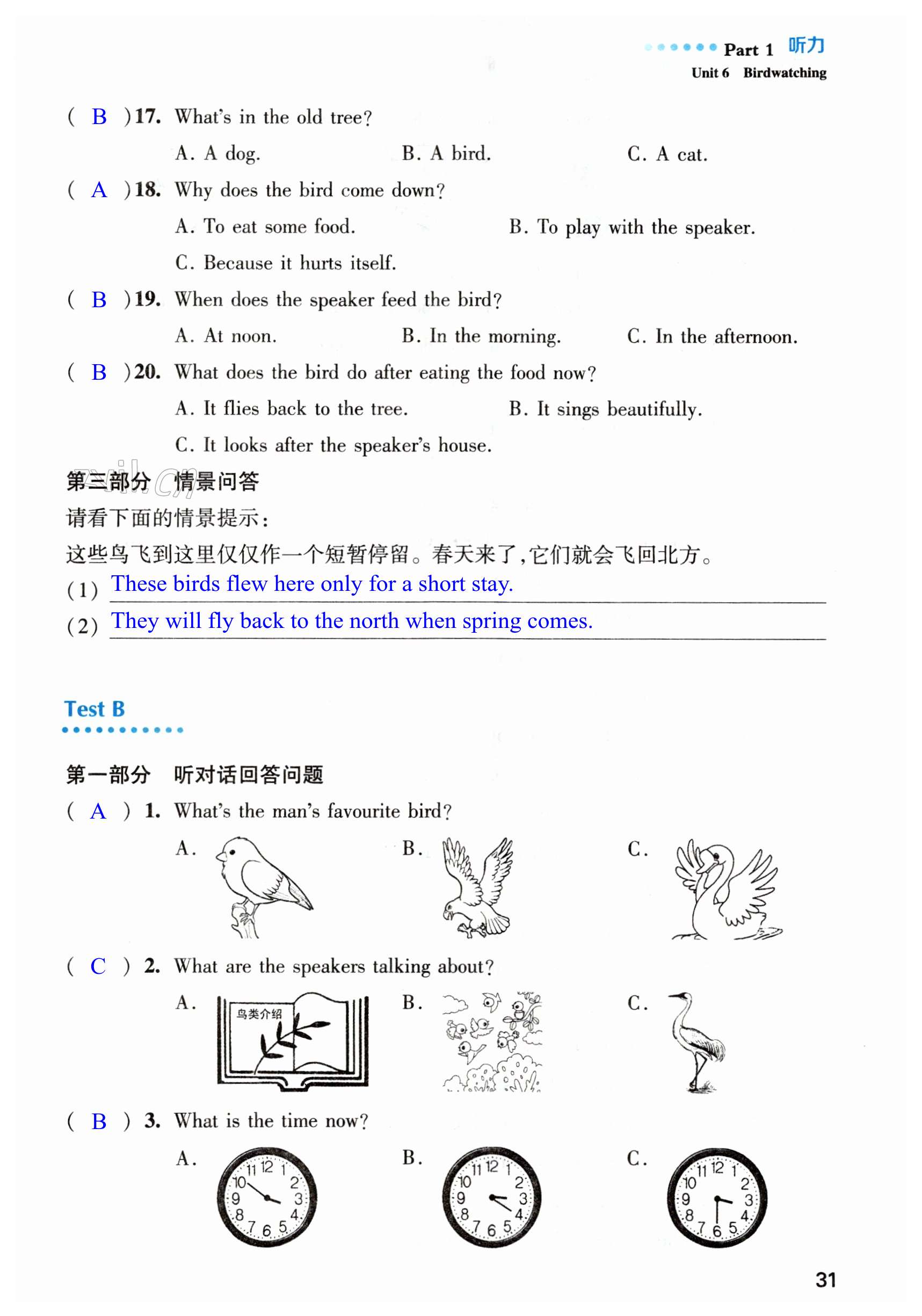 第31頁(yè)