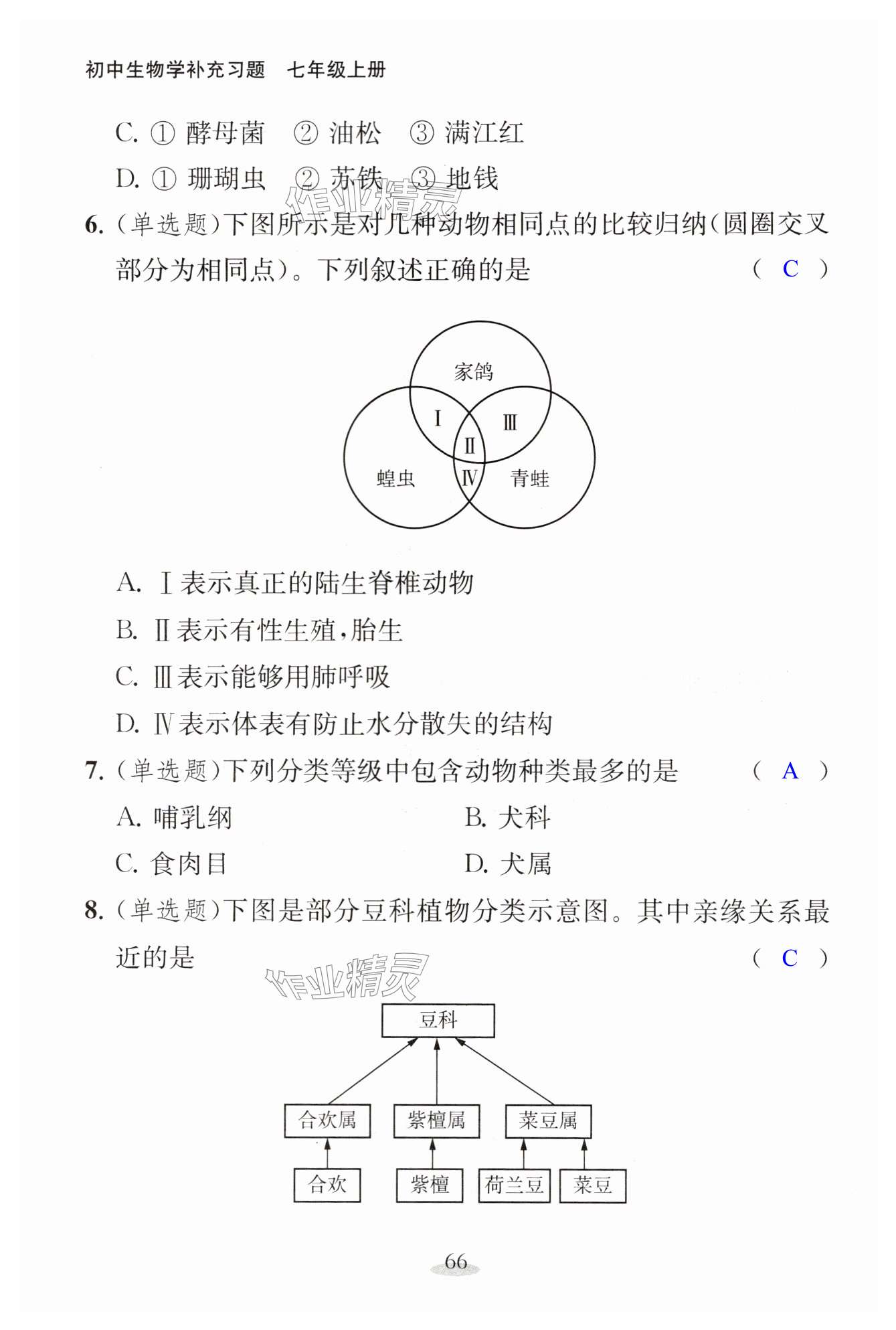 第66页