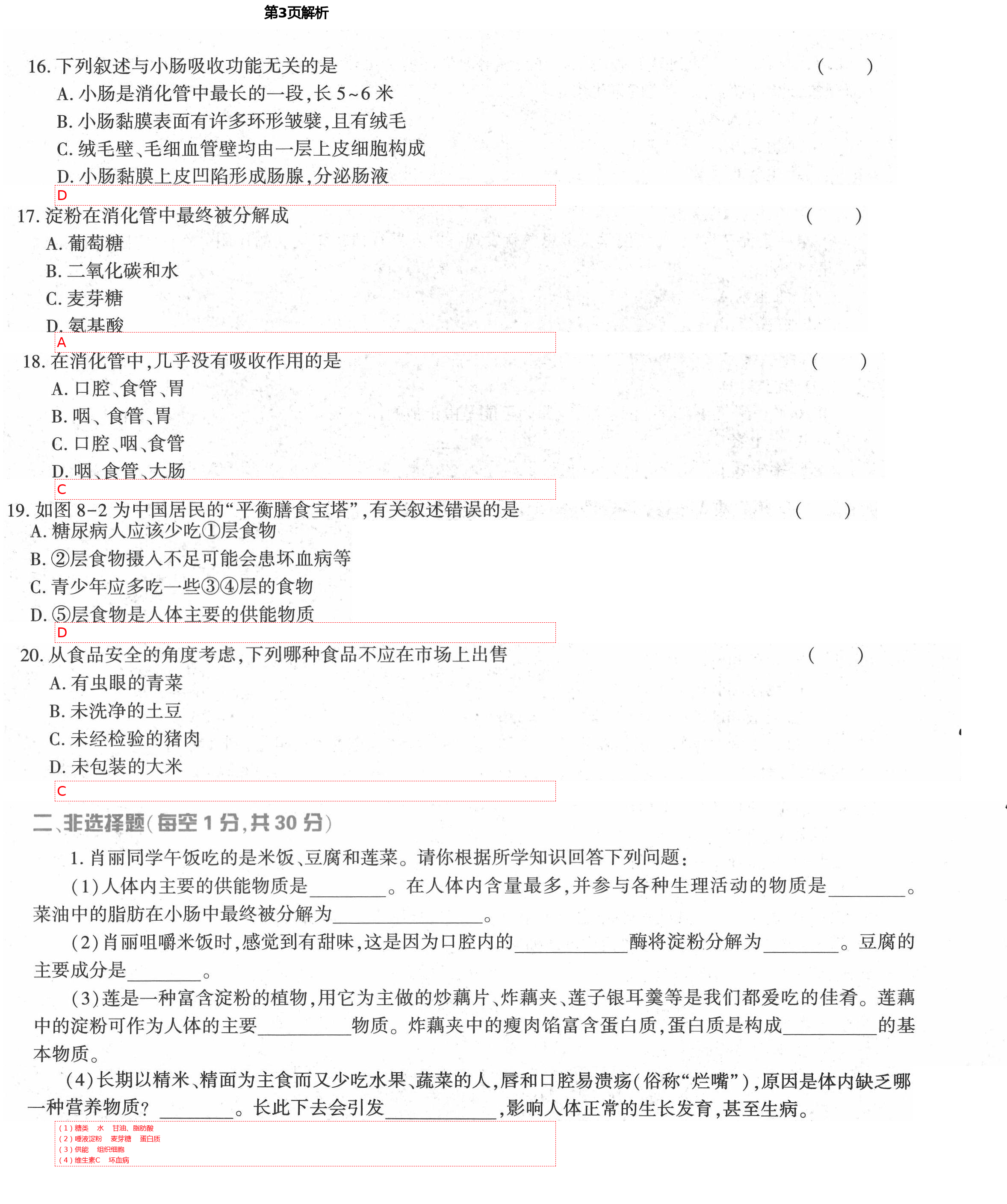 2021年基础训练七年级生物学下册北师大版大象出版社 第3页