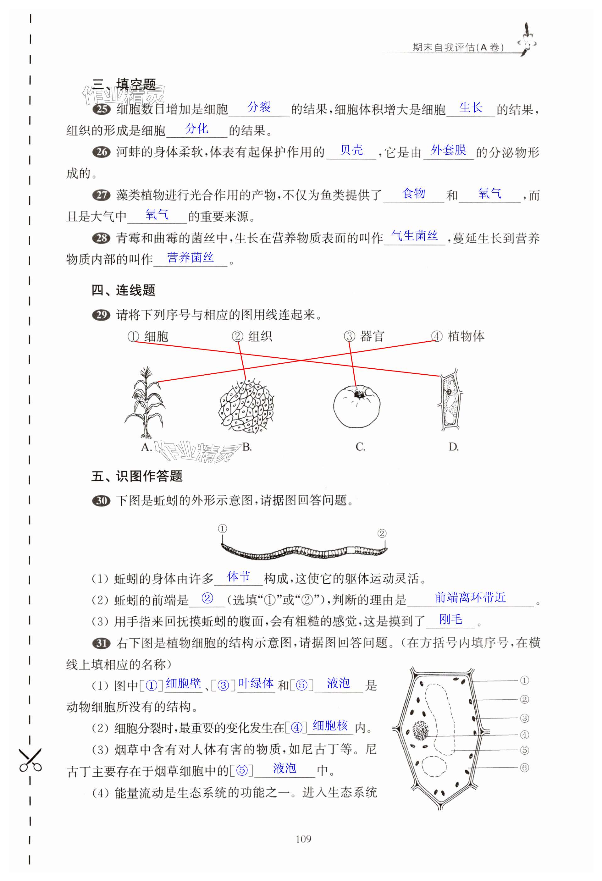 第109頁