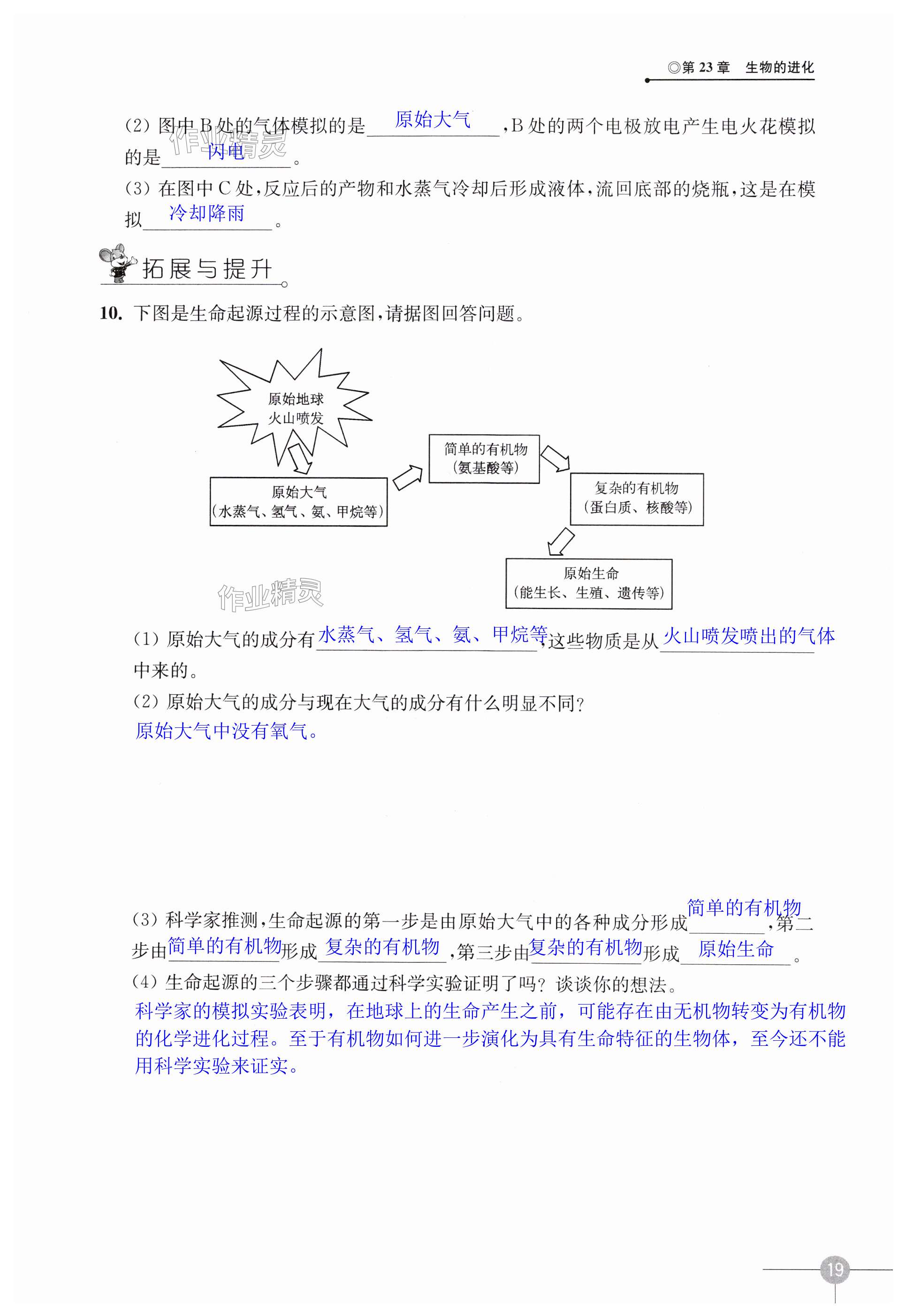 第19頁