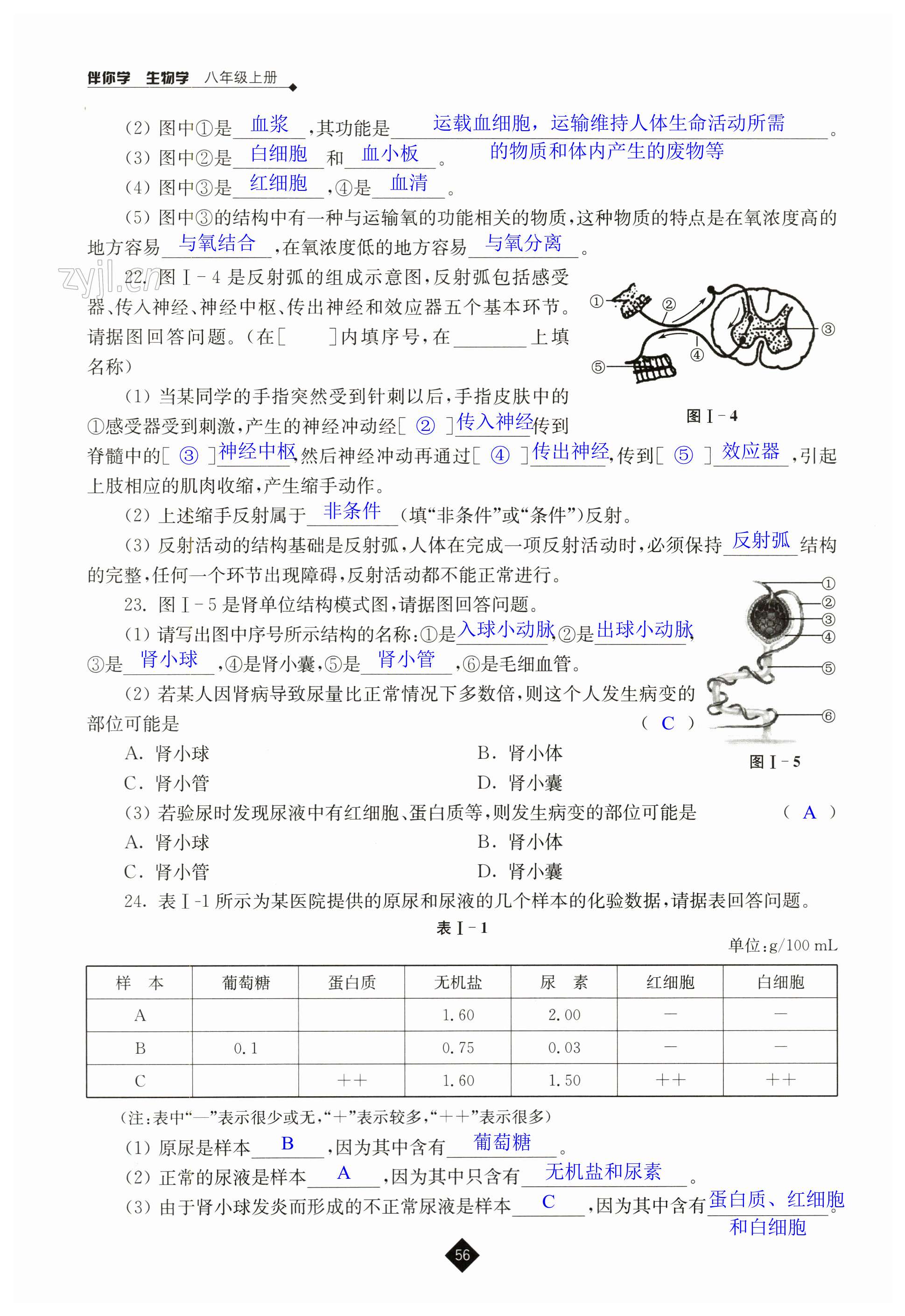 第56頁(yè)