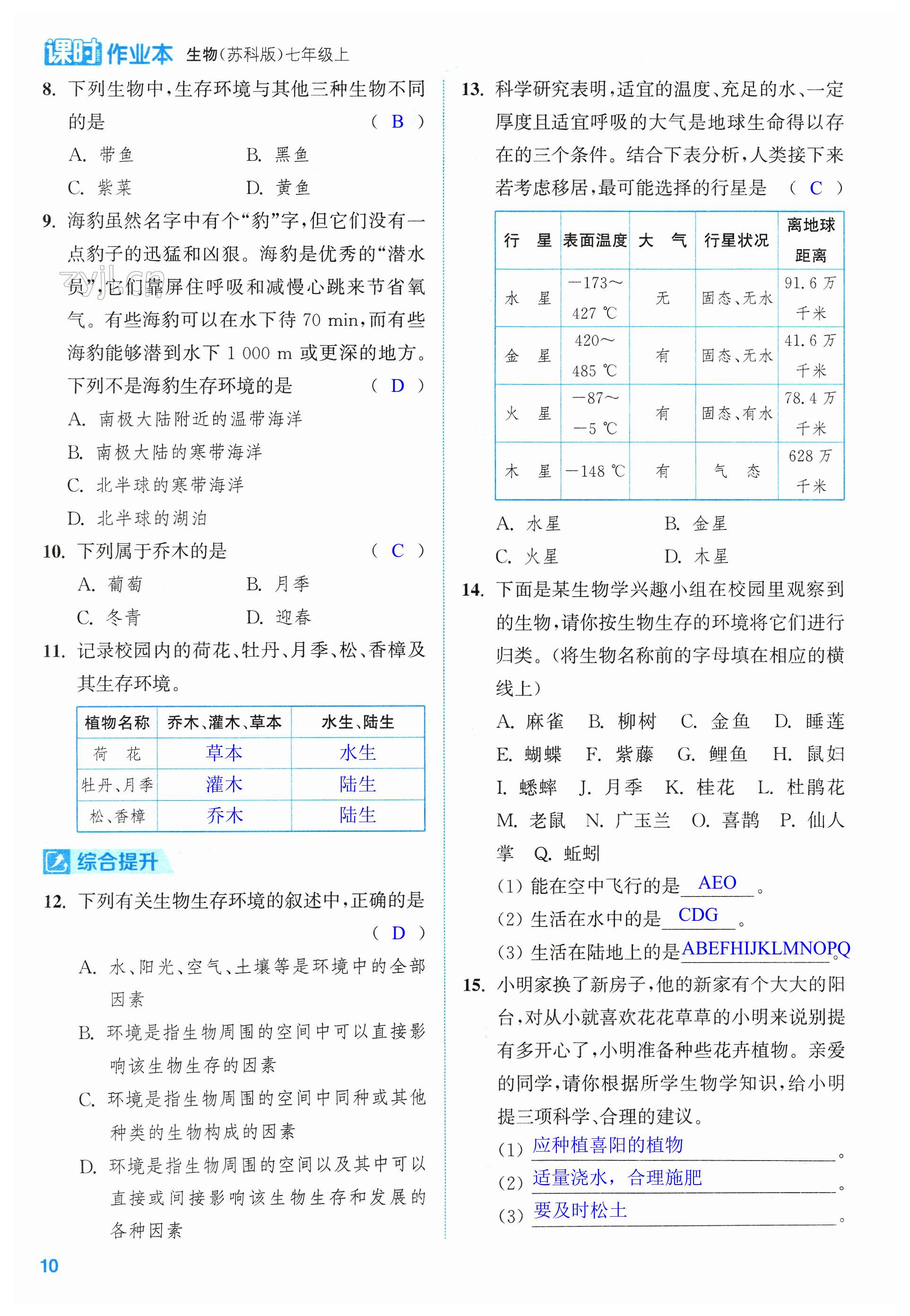 第10頁