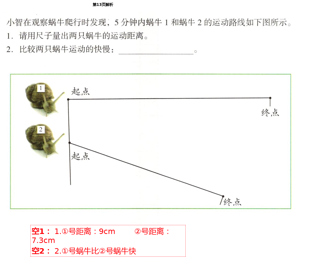 2021年知識與能力訓(xùn)練三年級科學(xué)下冊教科版 第13頁