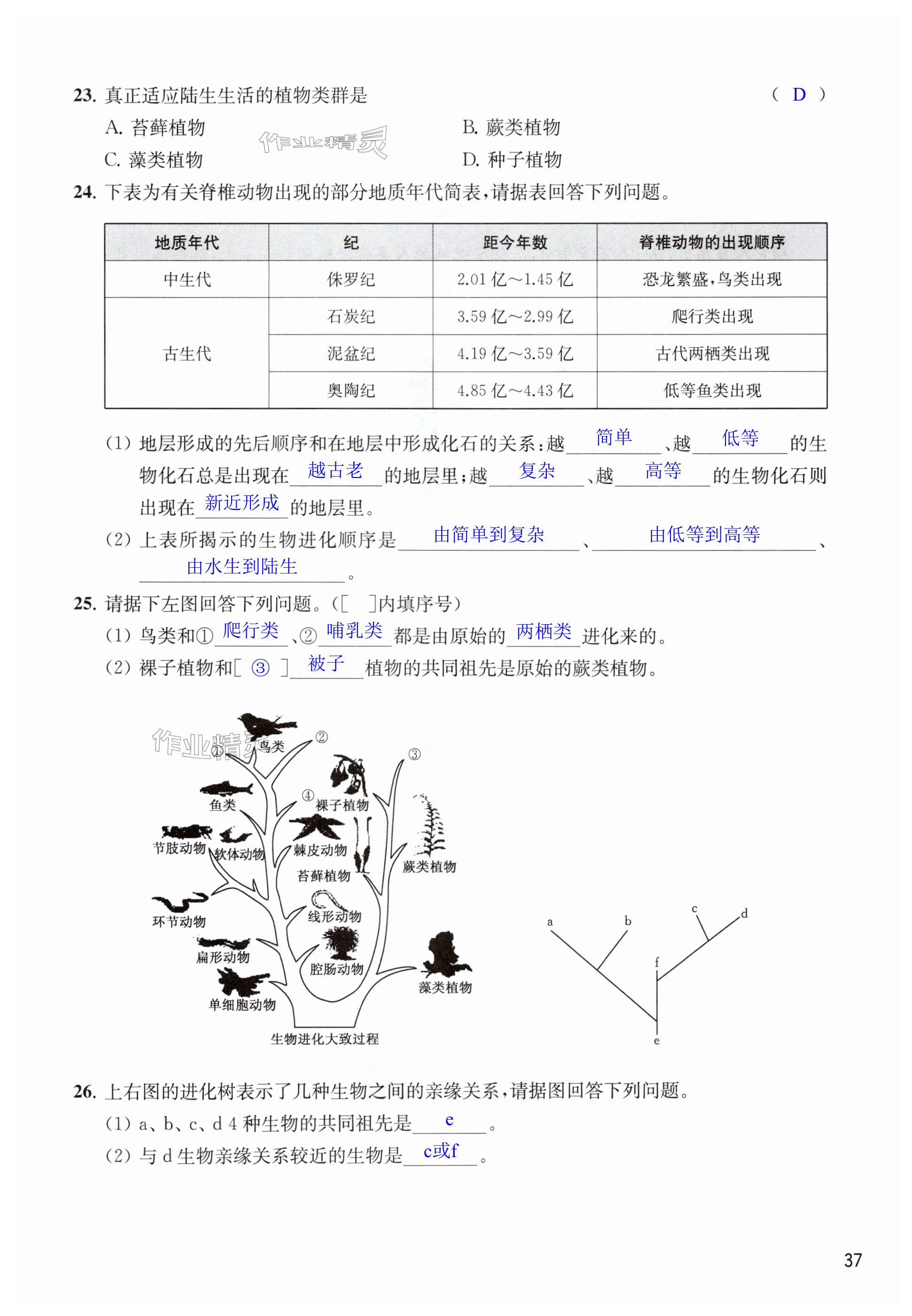 第37頁