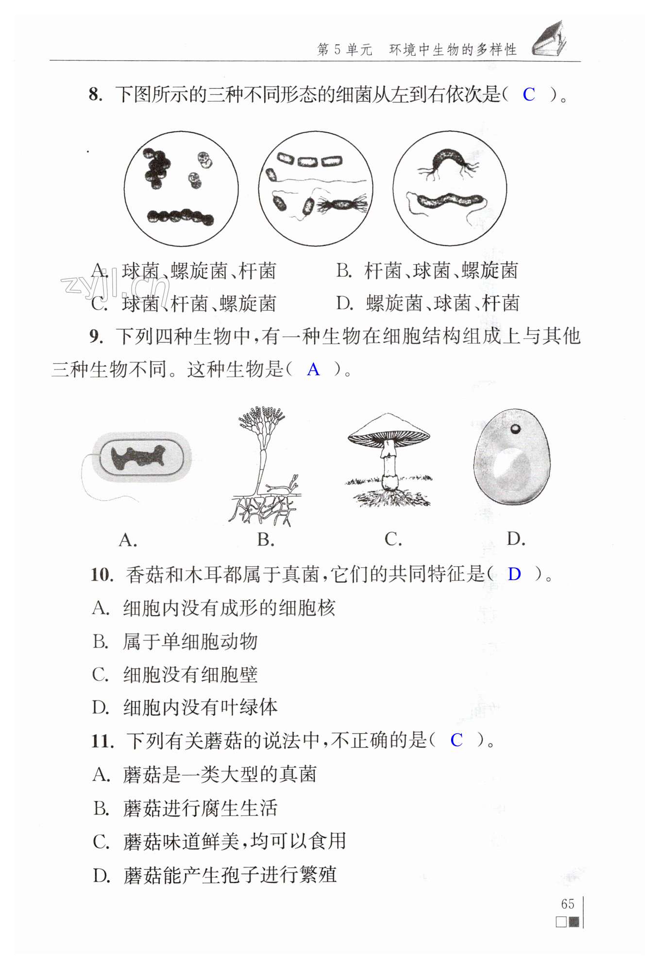 第65页