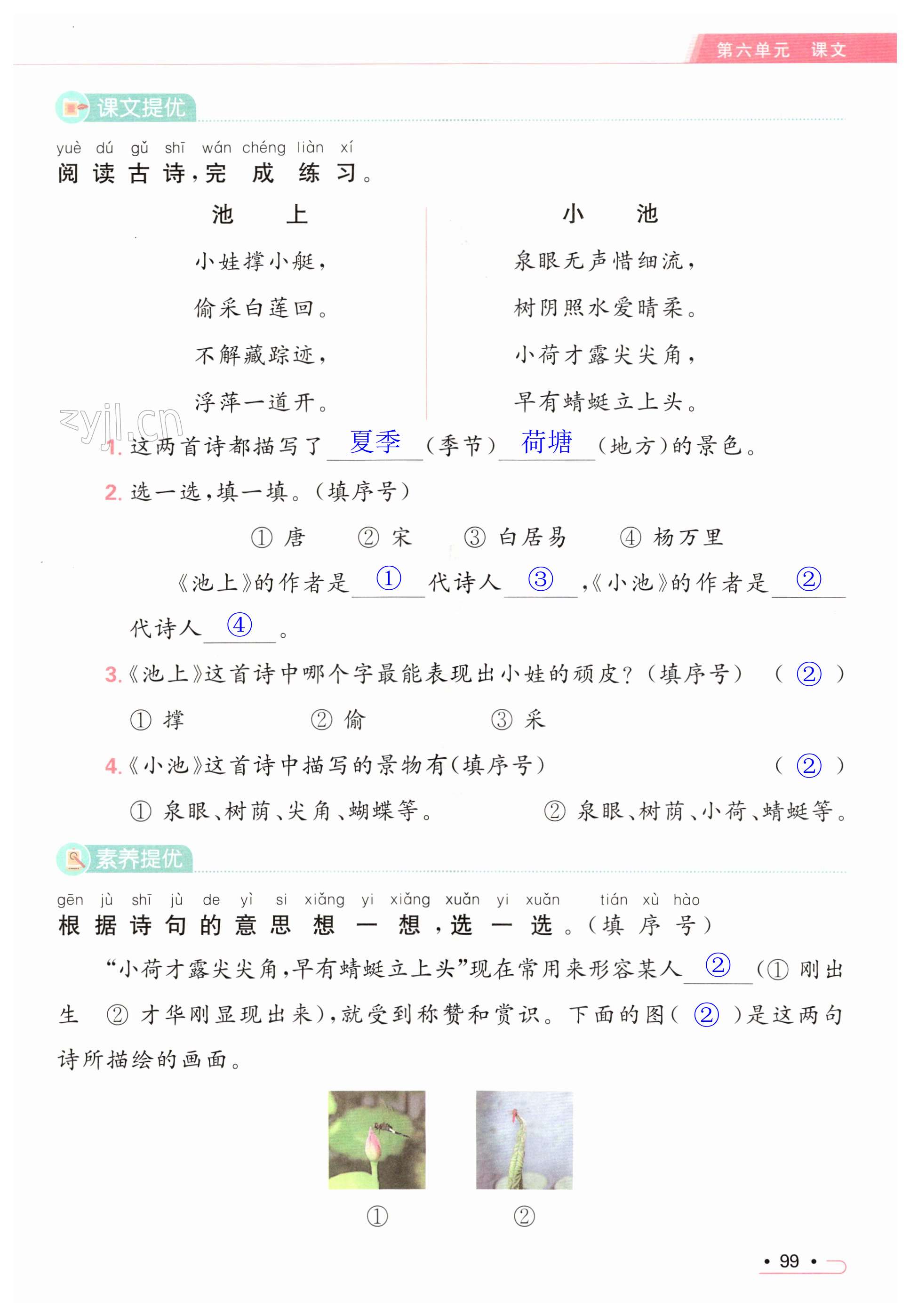 第99页
