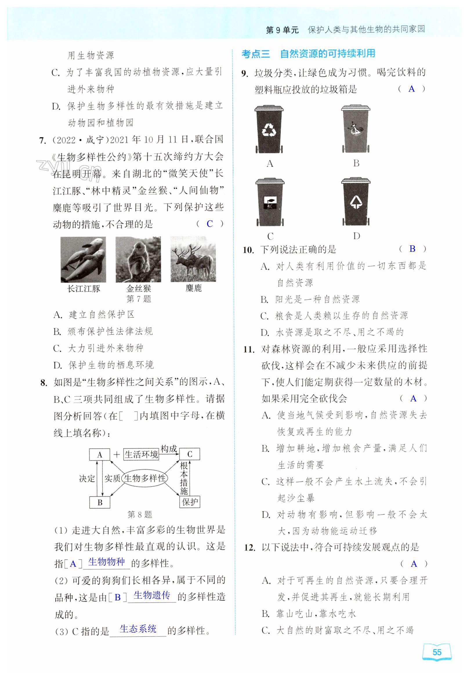 第55頁