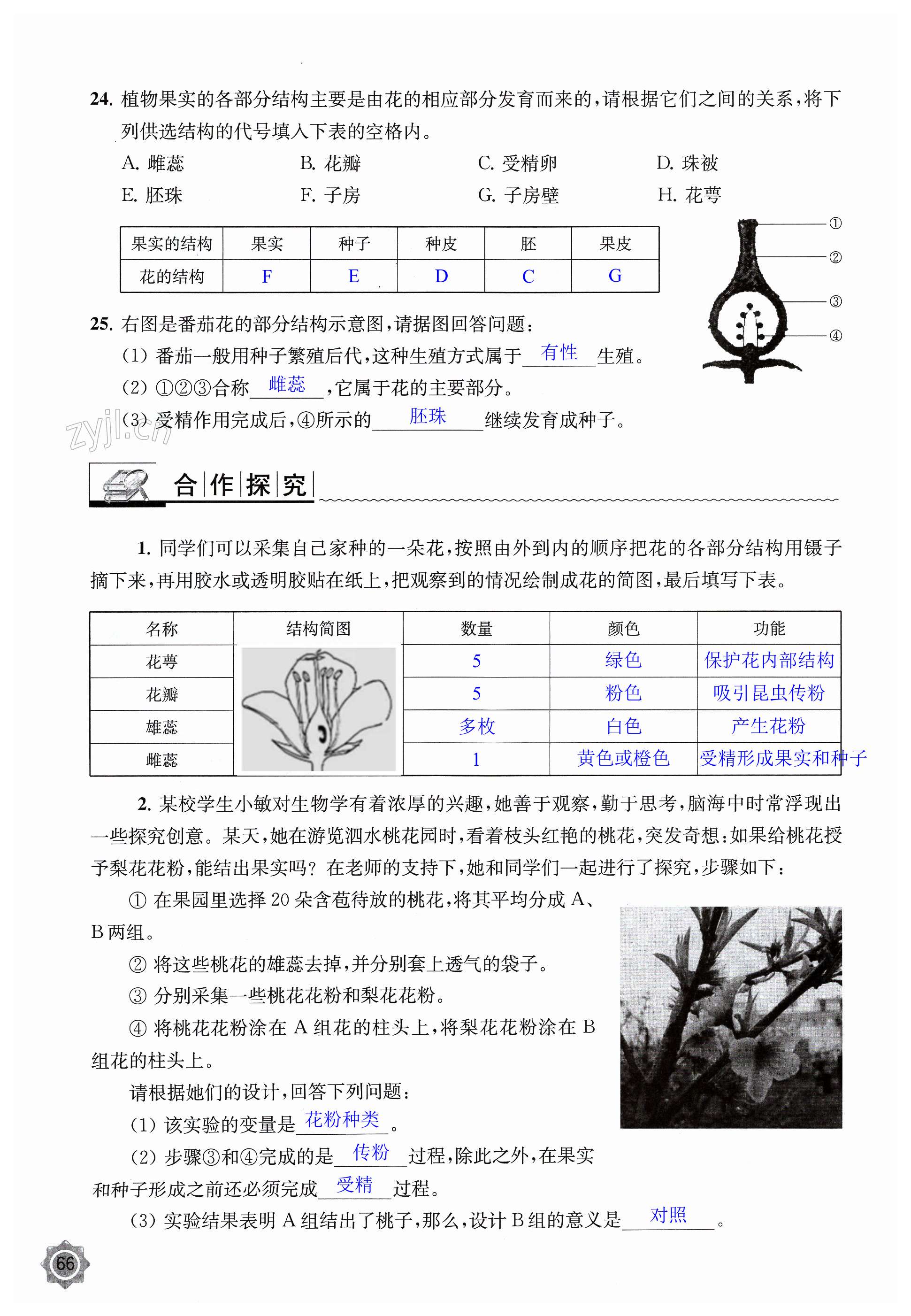 第66页