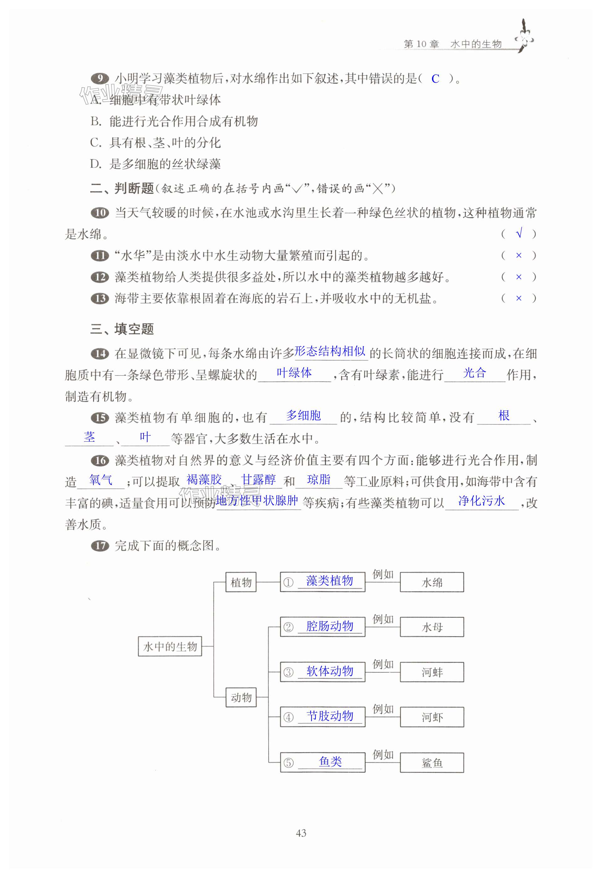 第43頁