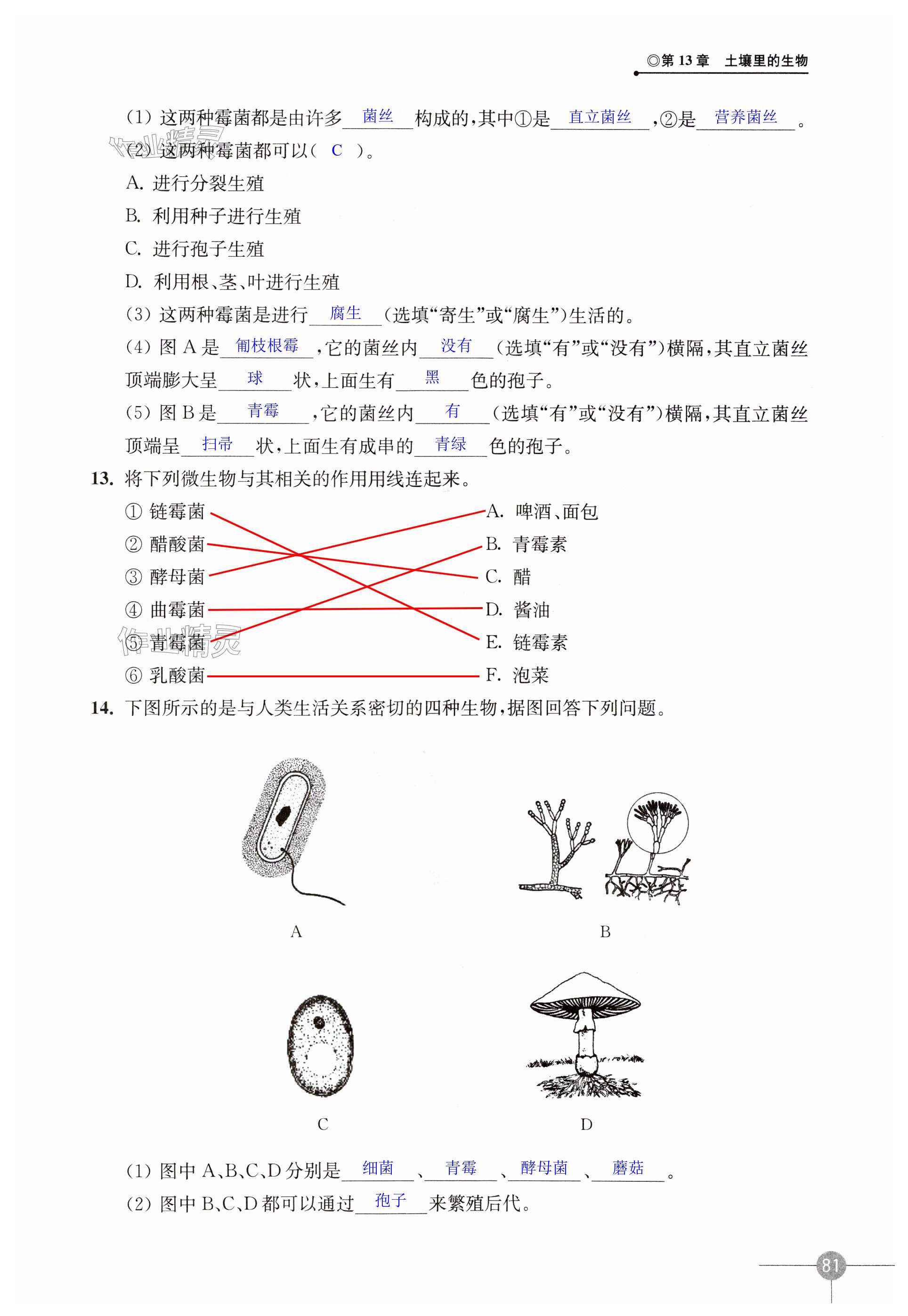 第81頁