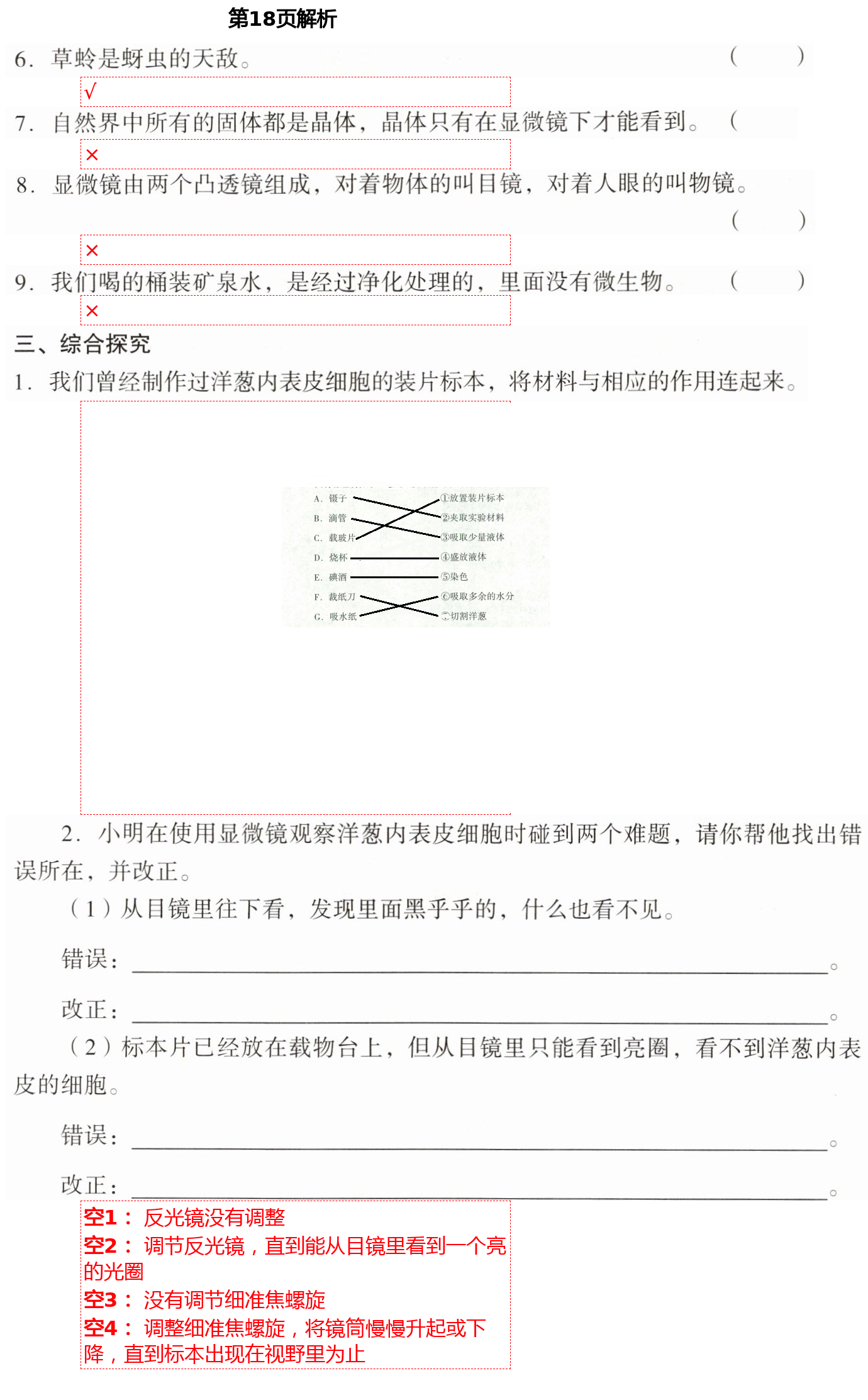 2021年知識(shí)與能力訓(xùn)練六年級(jí)科學(xué)下冊(cè)教科版 第18頁(yè)