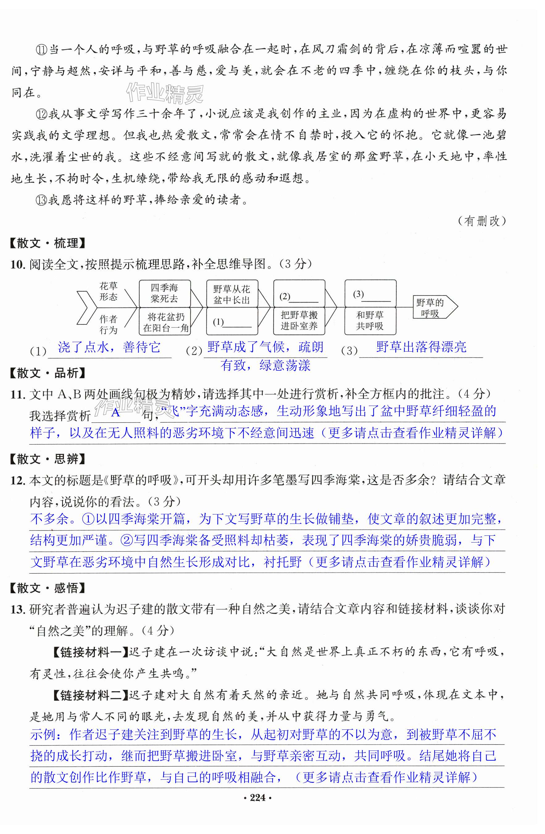 第224頁