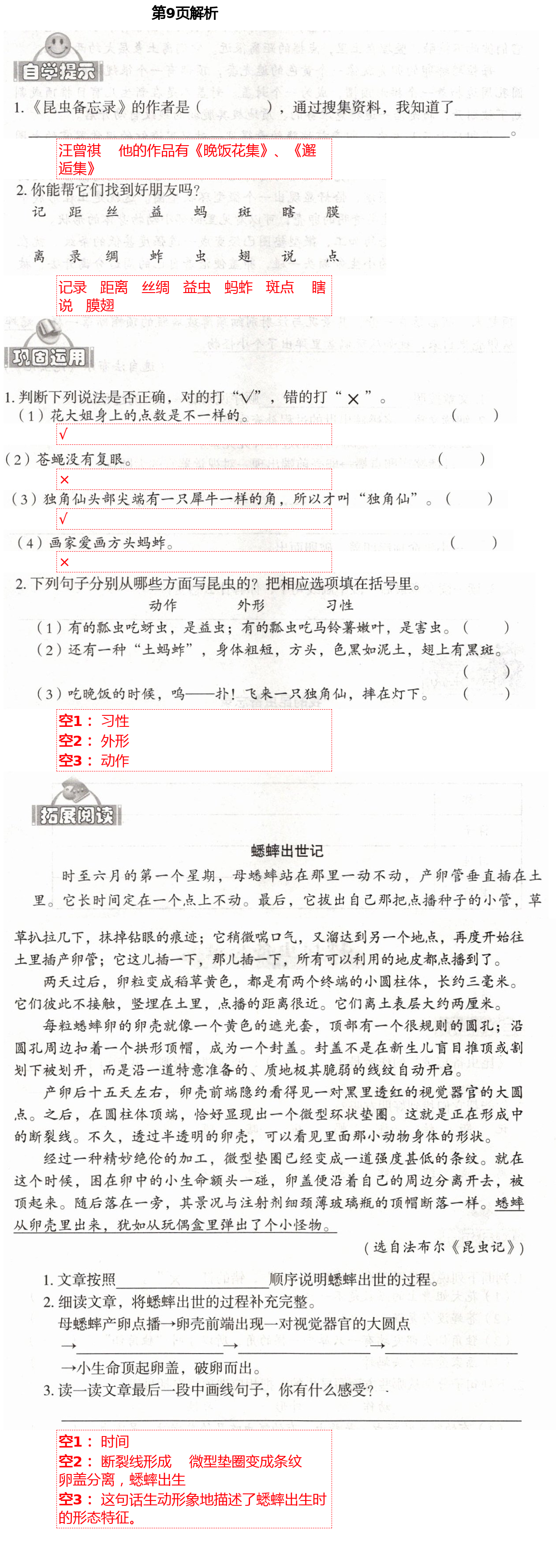 2021年自主學(xué)習(xí)指導(dǎo)課程三年級(jí)語文下冊(cè)人教版 第9頁(yè)