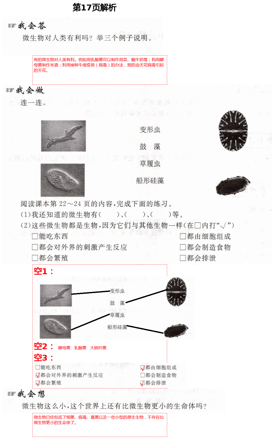 2021年新思維伴你學(xué)六年級科學(xué)下冊教科版 第17頁